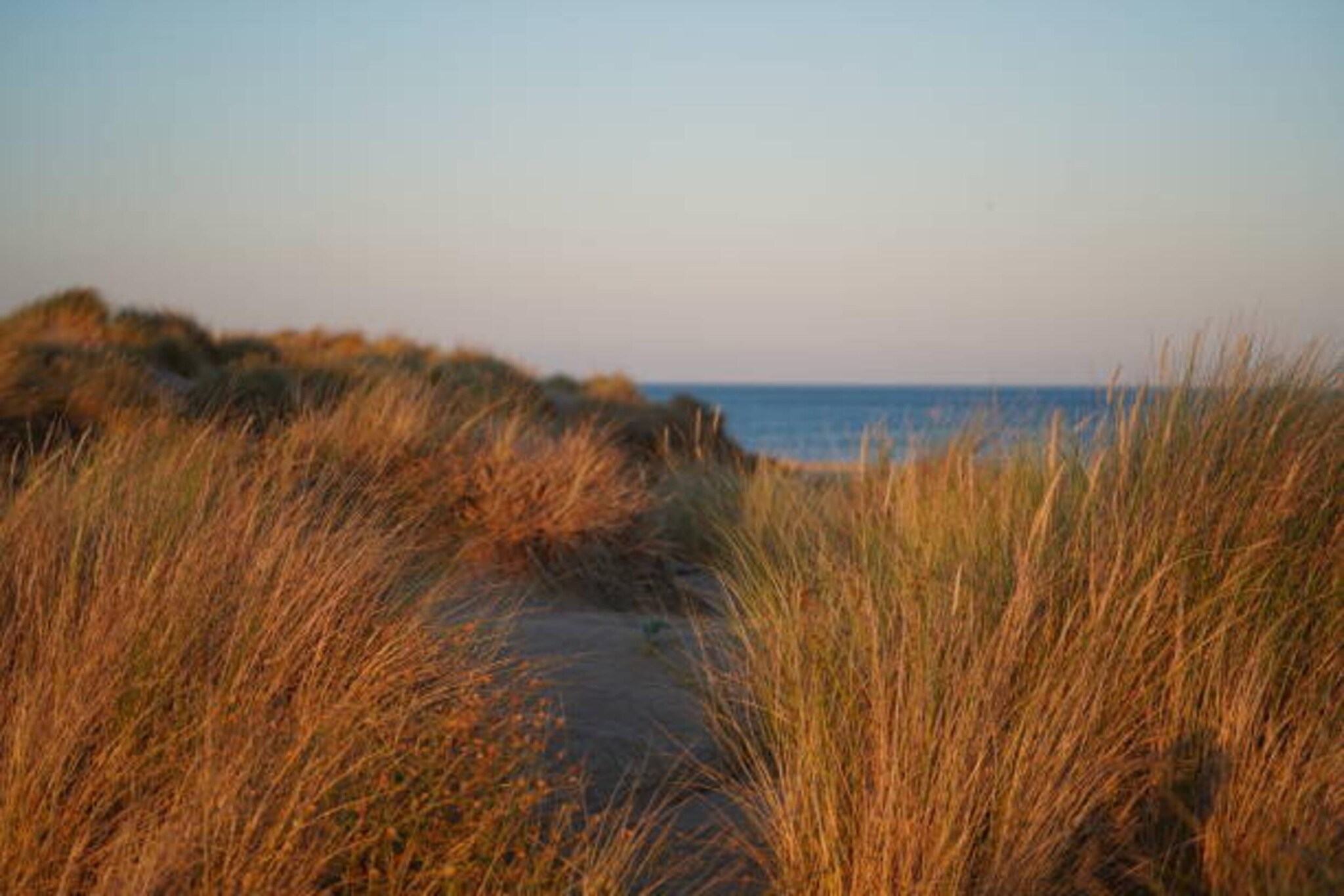 Résidence La Dune 8-Gebieden zomer 20km