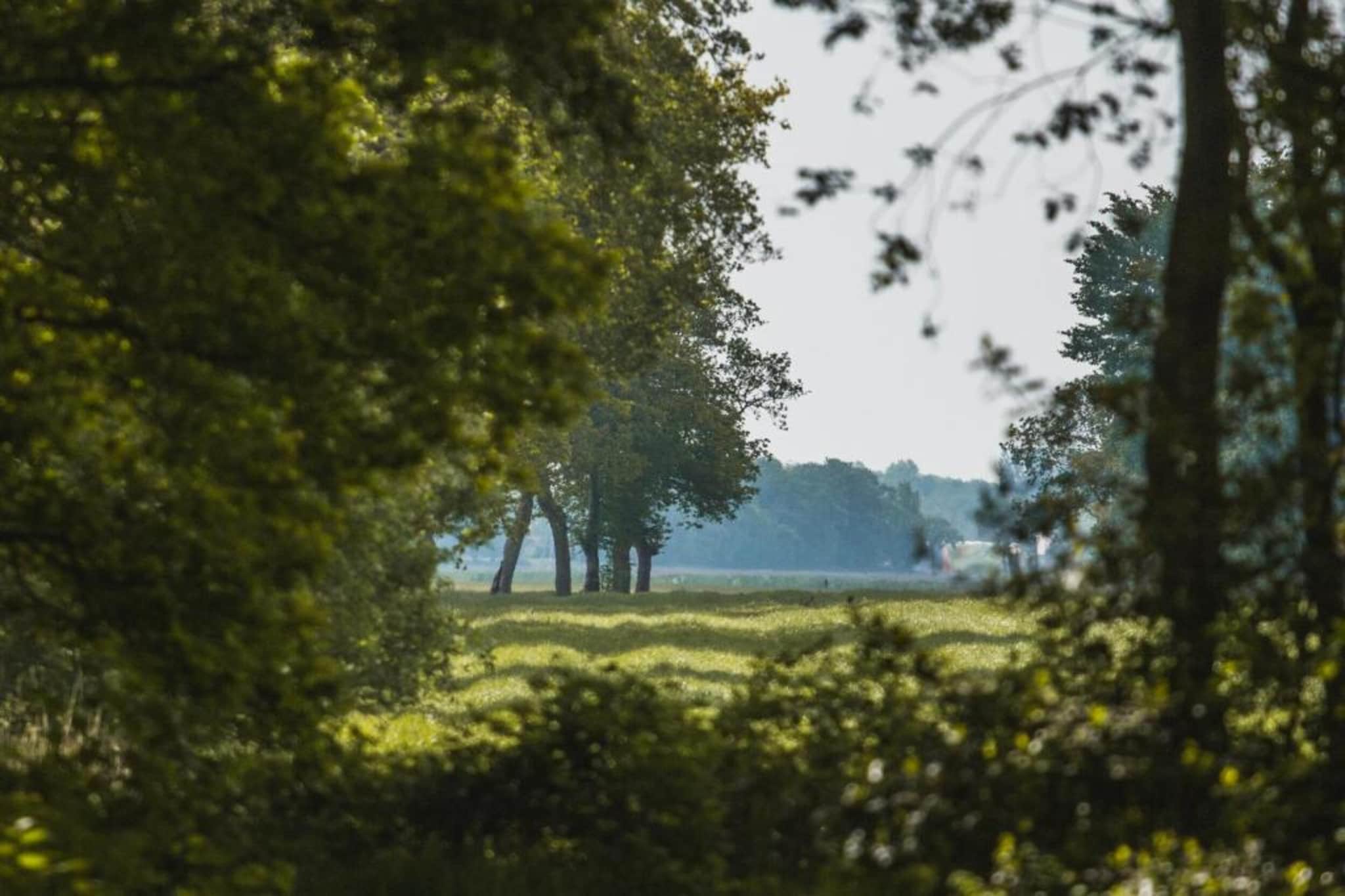 Boshuisje De Koolmees-Gebieden zomer 20km