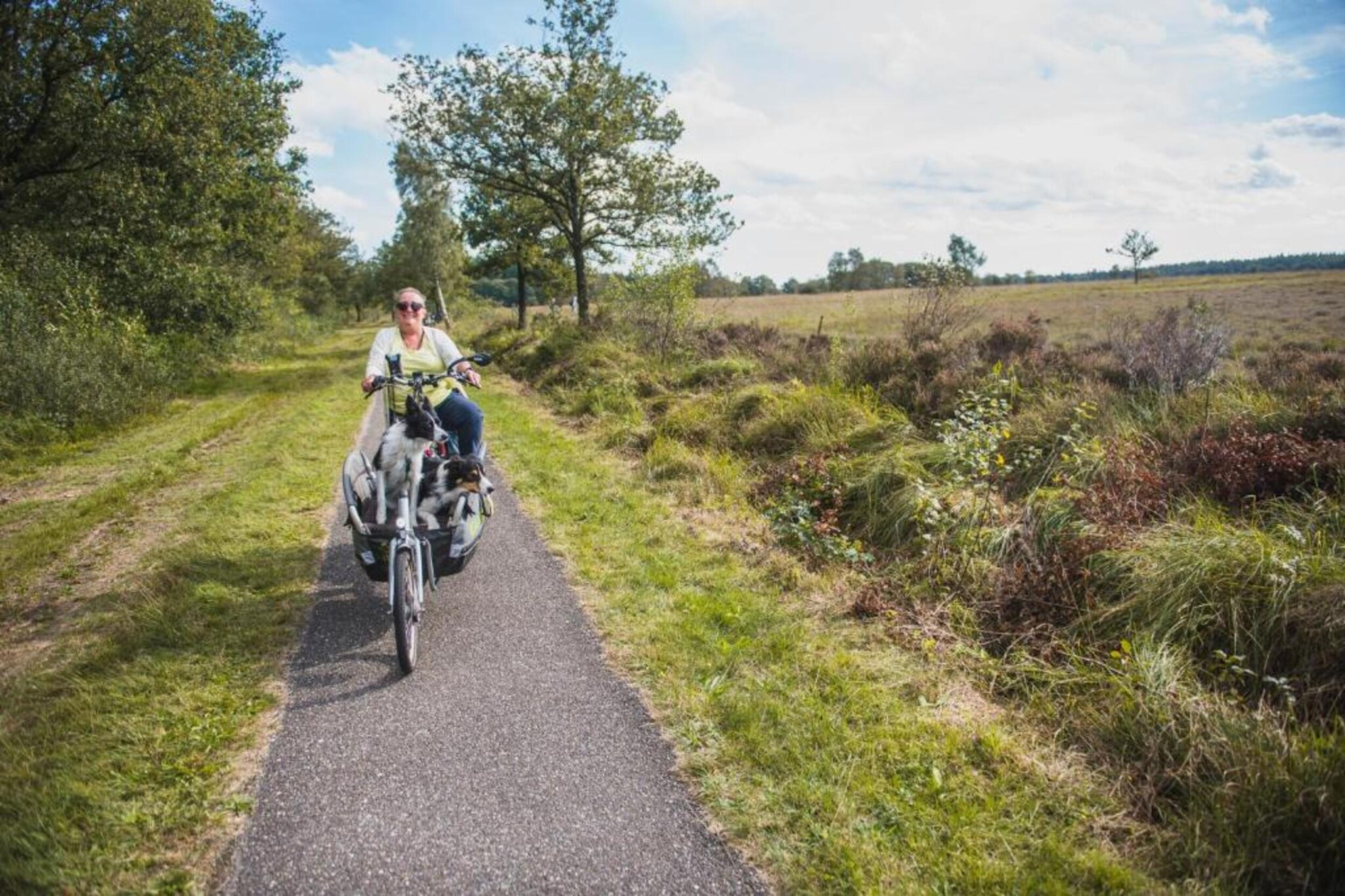 Boshuisje De Koolmees-Gebieden zomer 20km