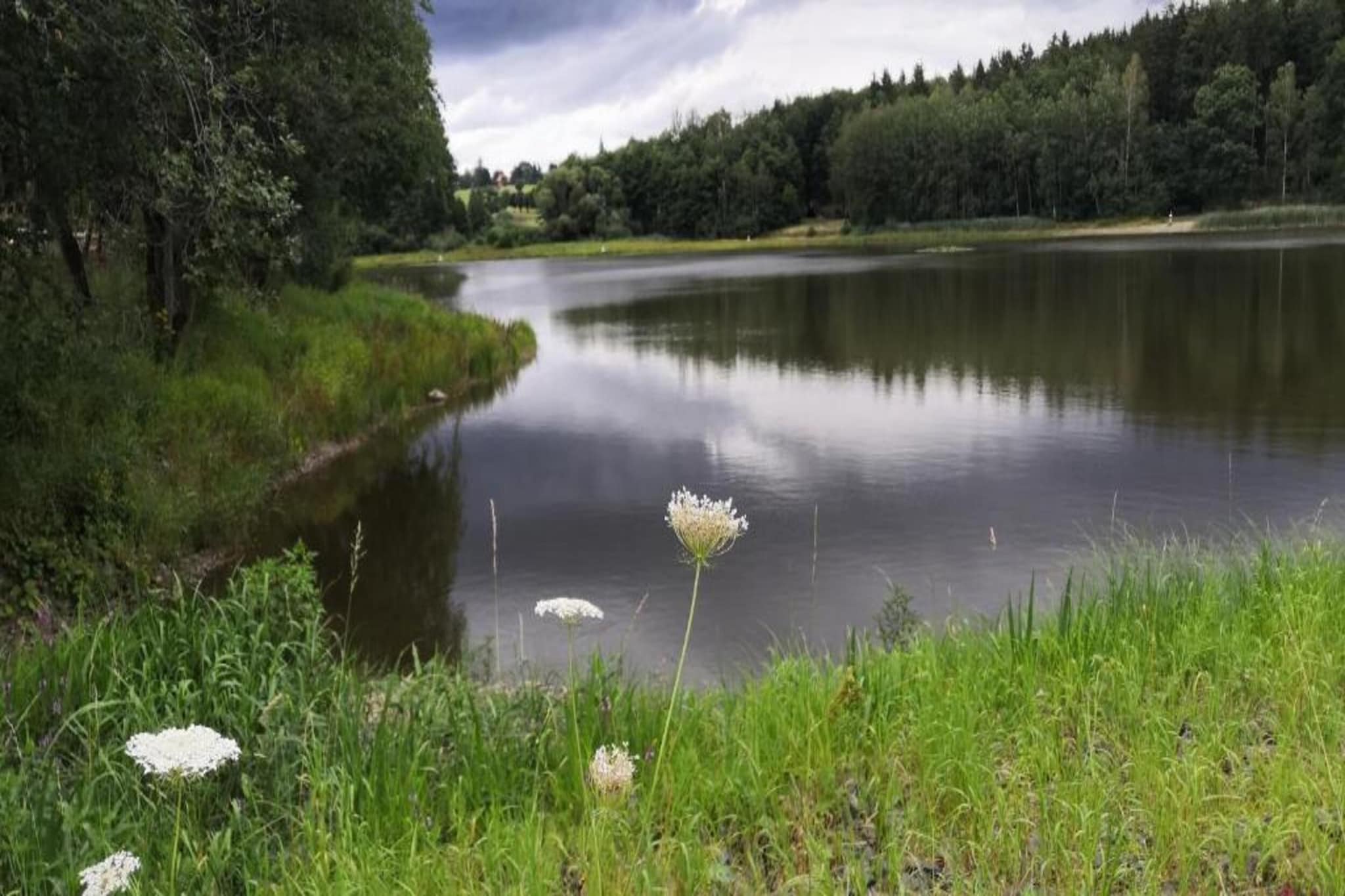 Panoramablick-Gebieden zomer 5km