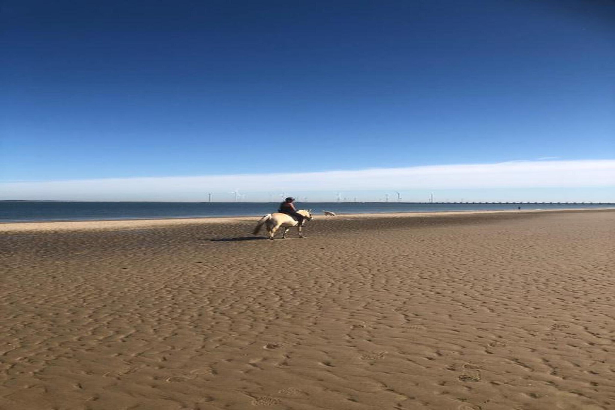 Appartement - Kon Emmaweg 6  beneden app-Gebieden zomer 20km