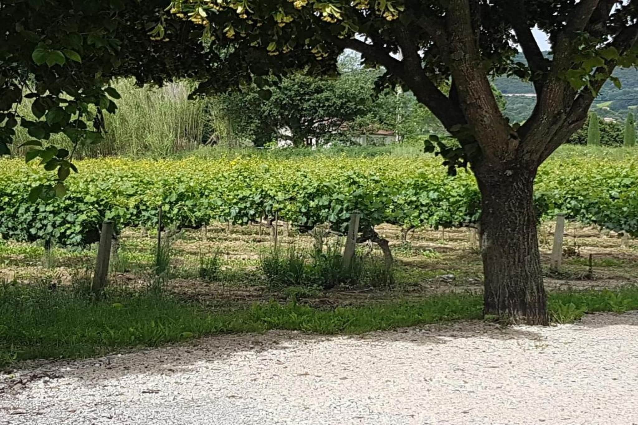 Villa Rose-Gebieden zomer 20km