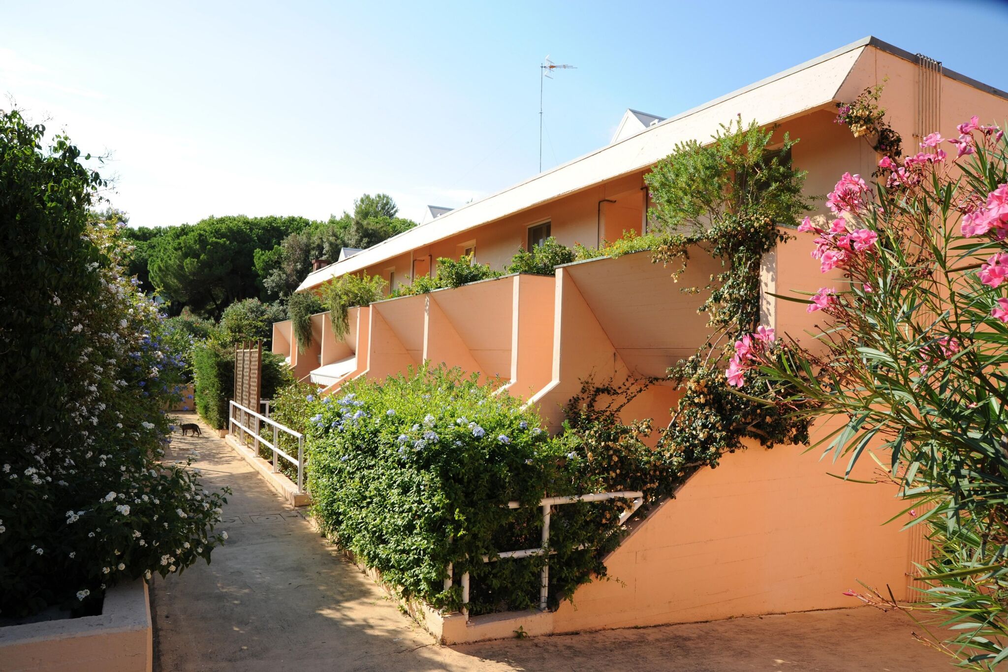 Verlockendes Apartment in Punta Ala mit privater Terrasse