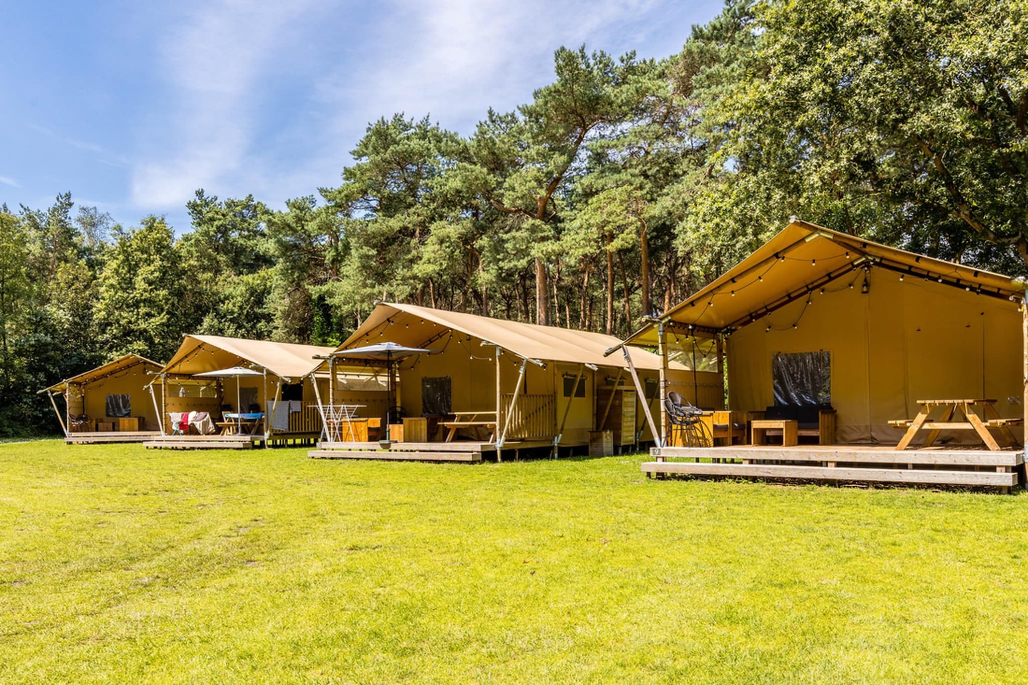 Vakantiepark de Katjeskelder 22 - Tuinen zomer