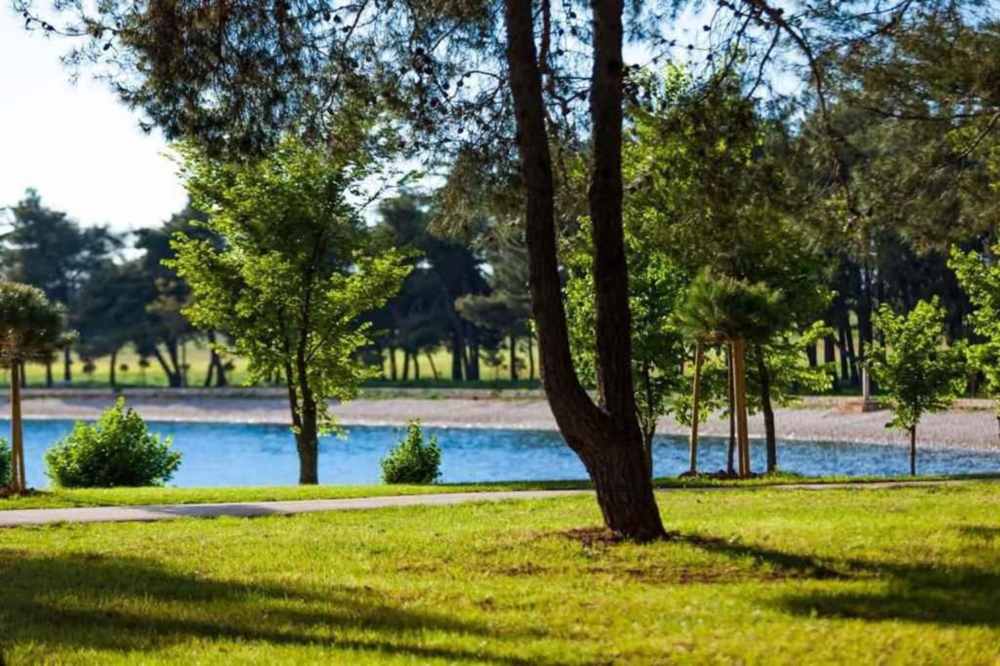 Casa Vacanza Orsera-Gebieden zomer 1km