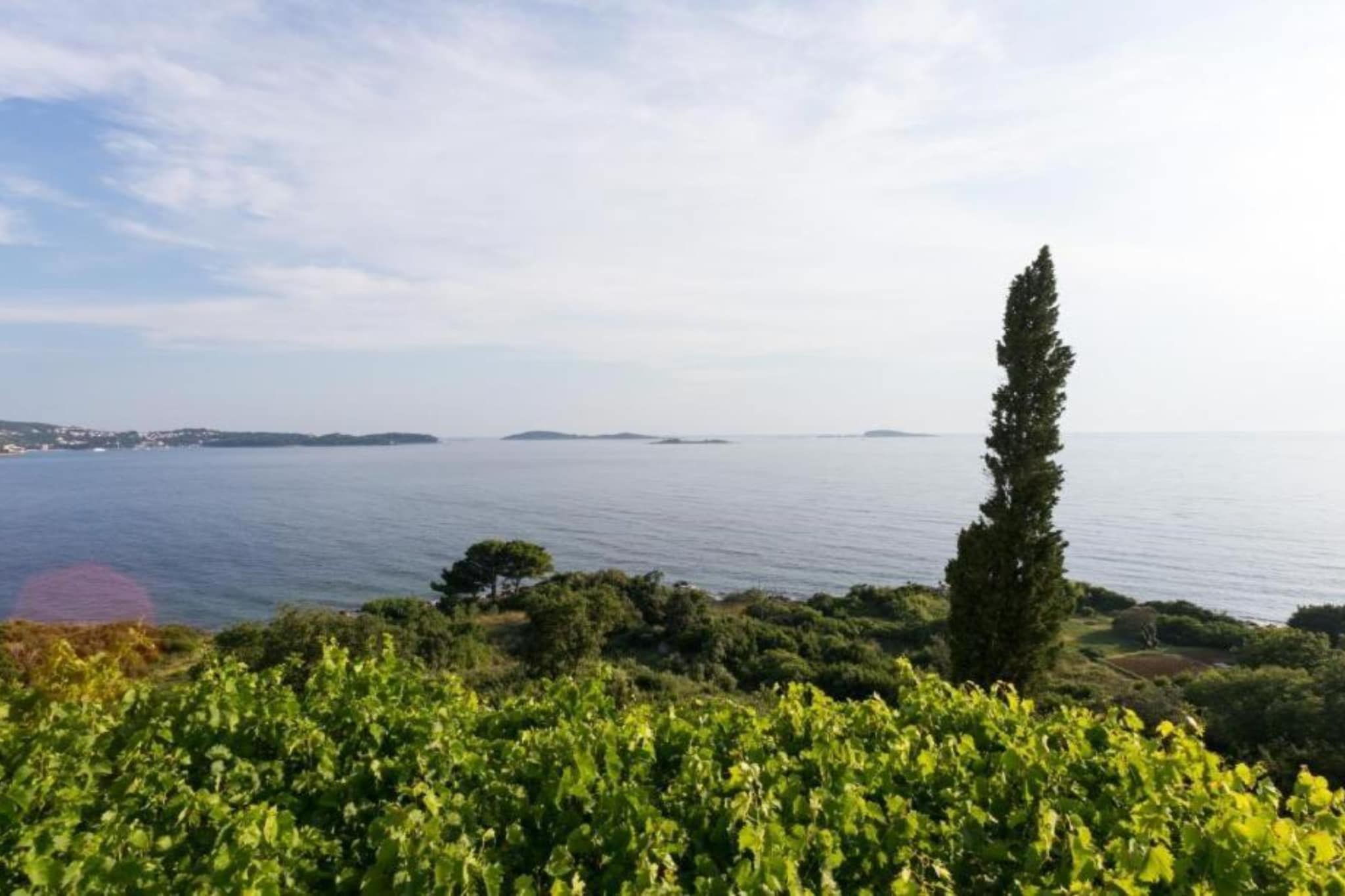 Villa Samba - Studio Apartment with Balcony and Sea View-Sfeer