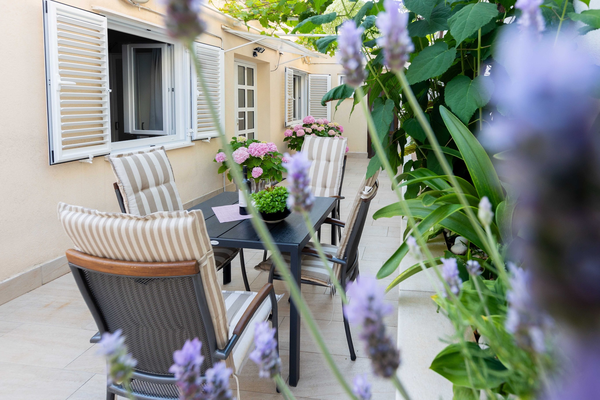 Rooms Batina- Standard Double Room-2 - Terrasse