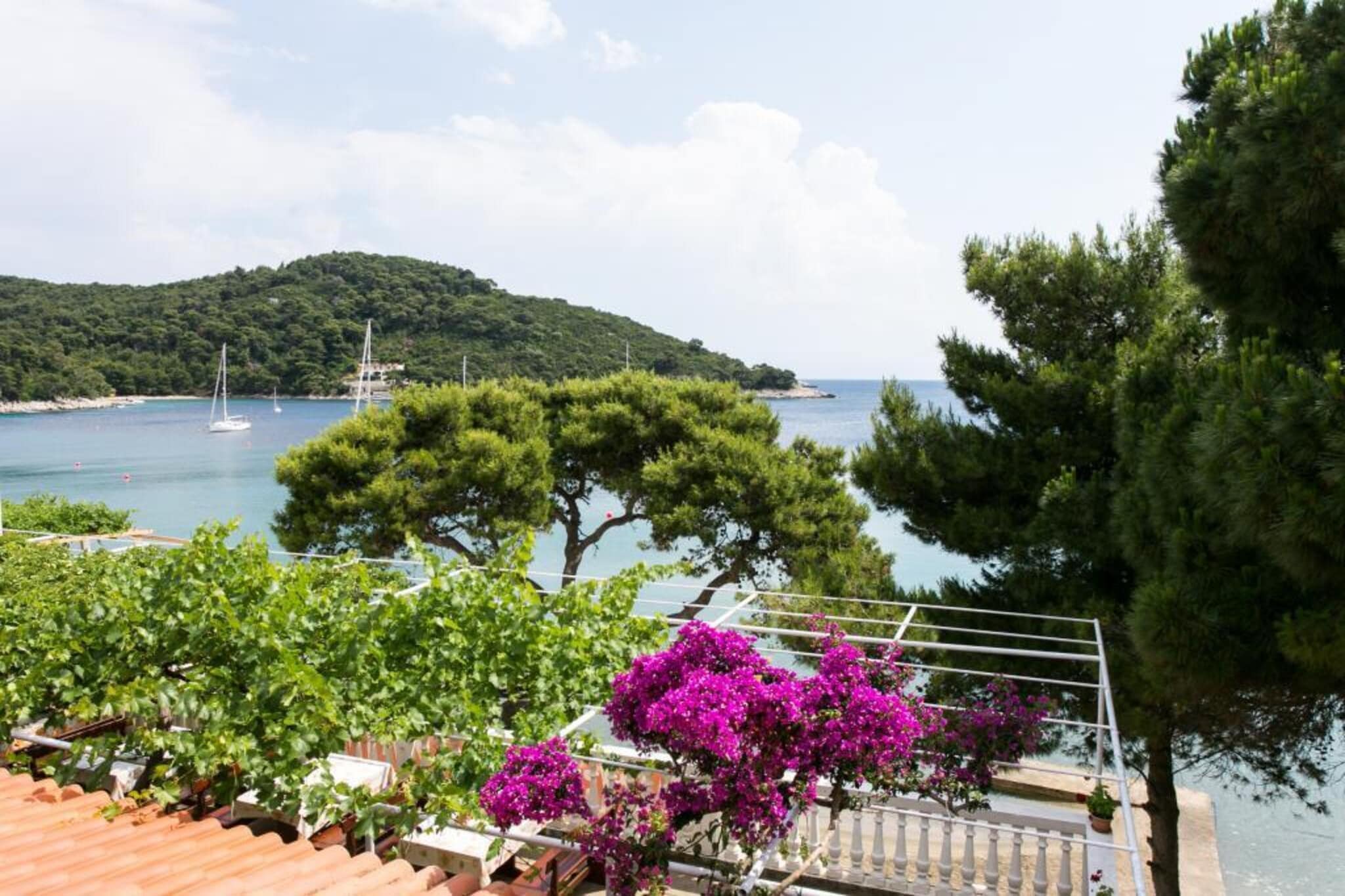 Apartmetns Franka Saplunara-One-Bedroom Apartment with Terrace and Sea View No2-Buitenkant zomer