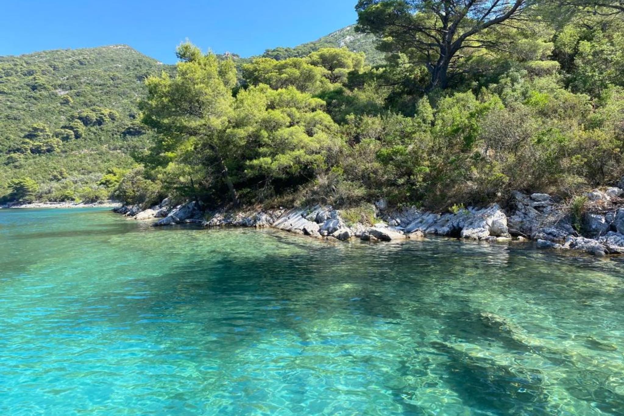 Apartments Franka Saplunara-Twin Room with Terrace and Sea view  No1-Ambiente