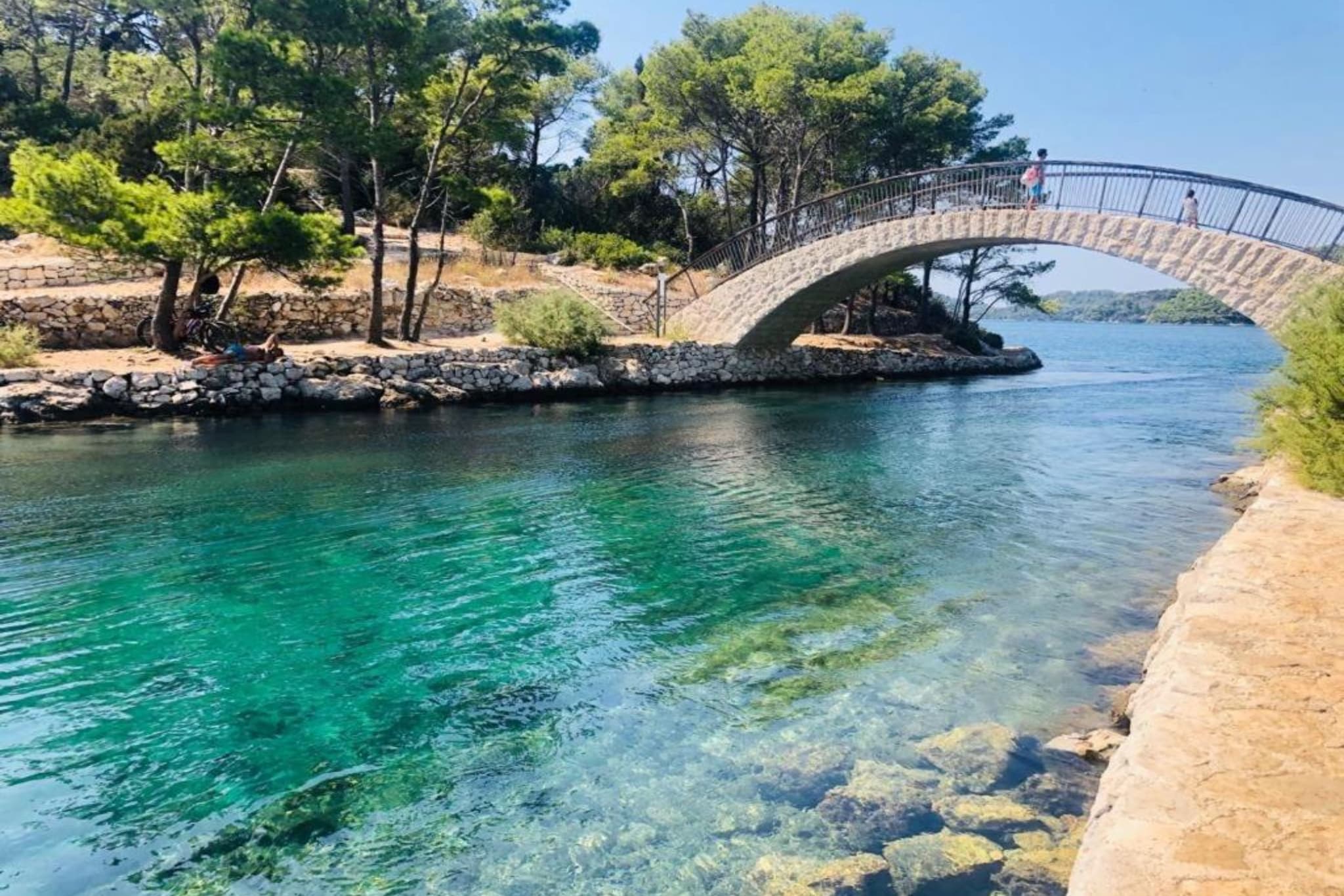 Apartments Franka Saplunara-Twin Room with Terrace and Sea view  No1-Ambiente