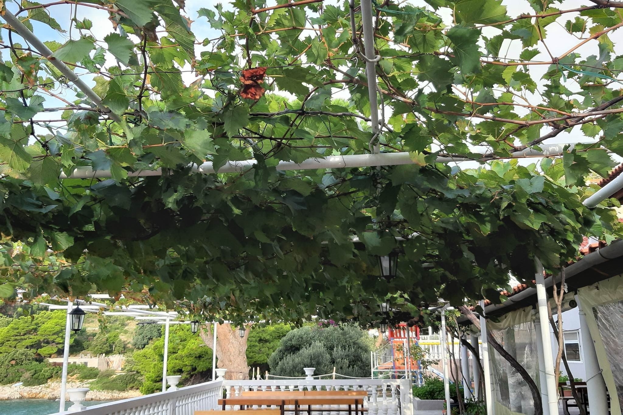 Apartments Franka Saplunara-Triple Room with Terrace and Sea View  No1-Ambiance