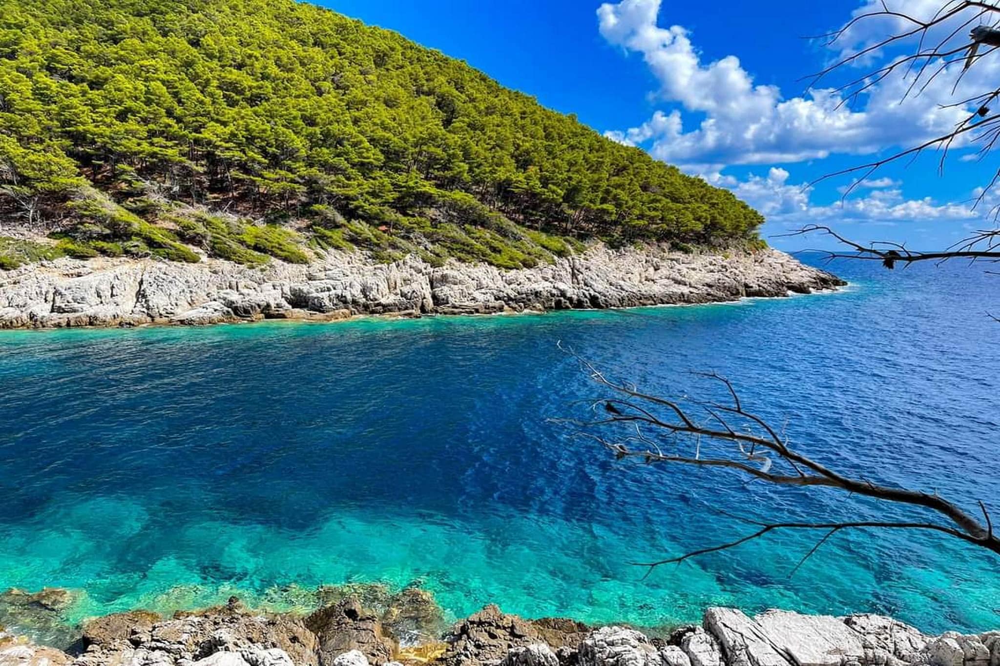 Apartments Franka Saplunara-Triple Room with Terrace and Sea View  No1-Ambiance