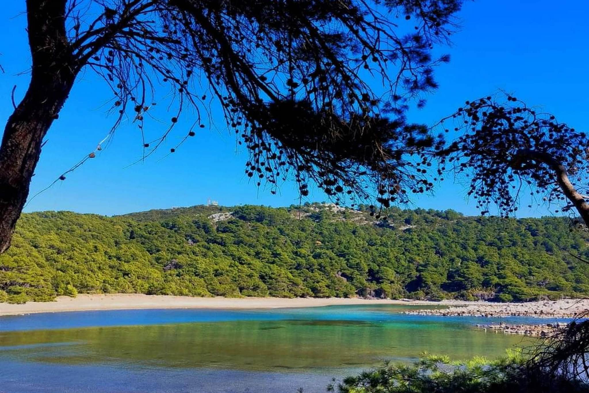 Apartments Franka Saplunara-Triple Room with Terrace and Sea View  No1-Ambiance