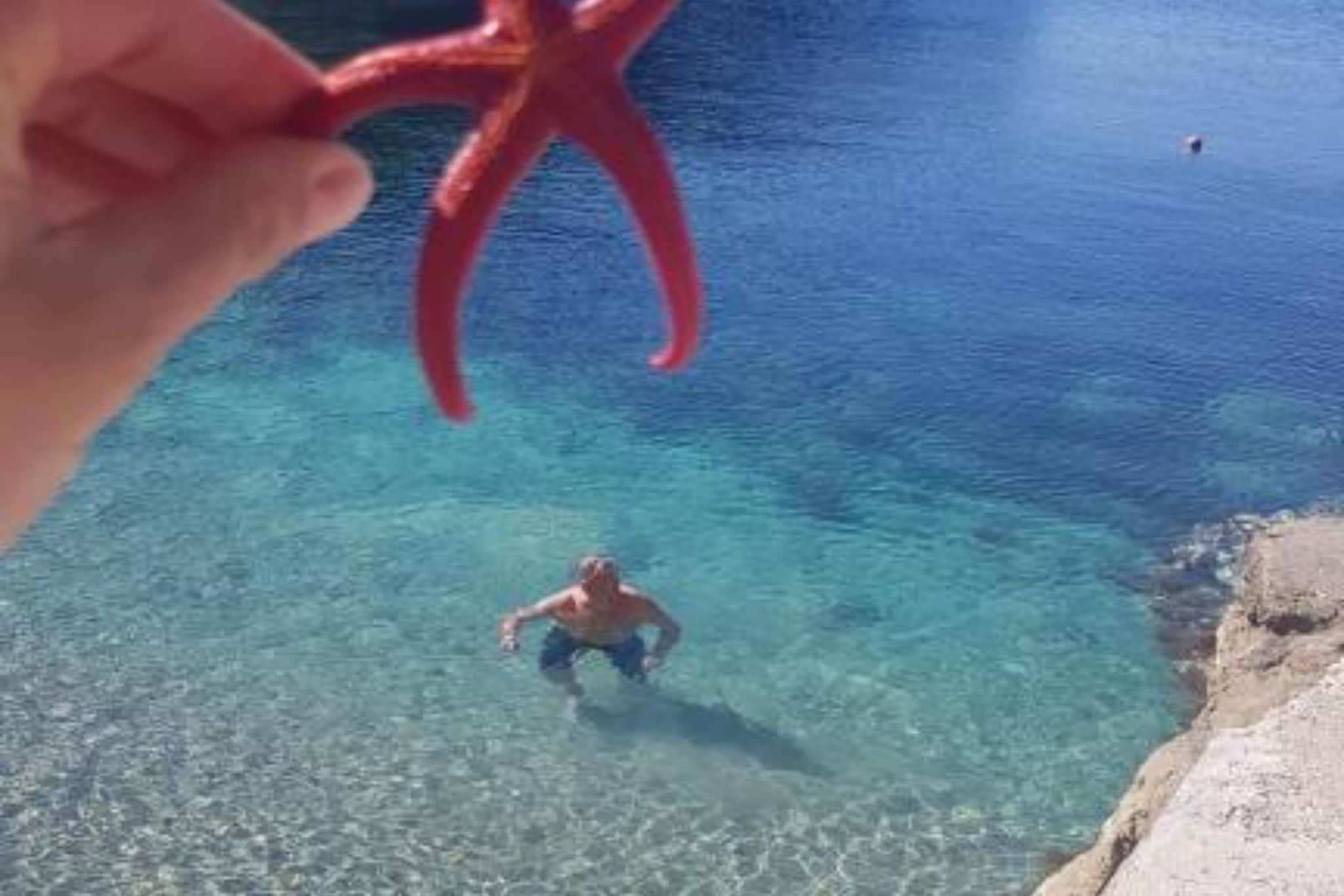 Apartments Franka Saplunara-Triple Room with Terrace and Sea View  No1-Ambiance