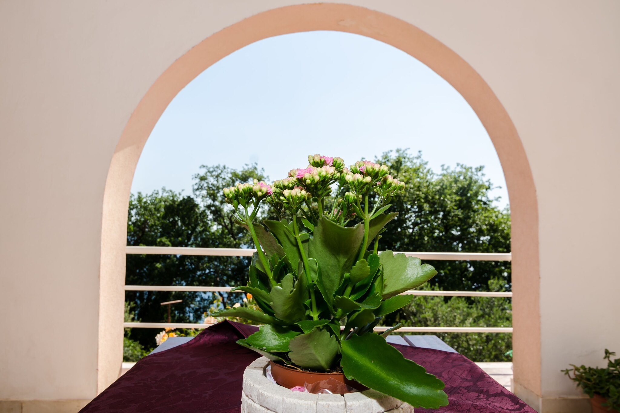 Villa Barbara is situated only 10 km away from the historic Dubrovnik and only 400 m from the nearest beach, making it an ideal place for a relaxing summer vacation. The property is easily located as it is the next turn after Hotel Astarea and offers three studio apartments with free parking, air-conditioning, WiFi and a common sun terrace with great  sea views and BBQ facilities.

This studio apartment offers WiFi, equipped kitchenette with stove and refrigerator, air-conditioning, private bathroom with shower and shared terrace offering outdoor dining, BBQ facilities and  gorgeous sea views.

Free private parking is available on site (reservation is not needed).

Mlini is well-connected to Dubrovnik by bus or boat, and has its own night life. Shops, cafes, grocery stores and restaurants are only 300 metres away and a bus stop is less than 400 meters away. The stairs below the accommodation lead down to a path that goes all along the sea of Mlini and Sebreno, offering beautiful views of the bay.

Supermarket 1 km

Restaurant 600 meters