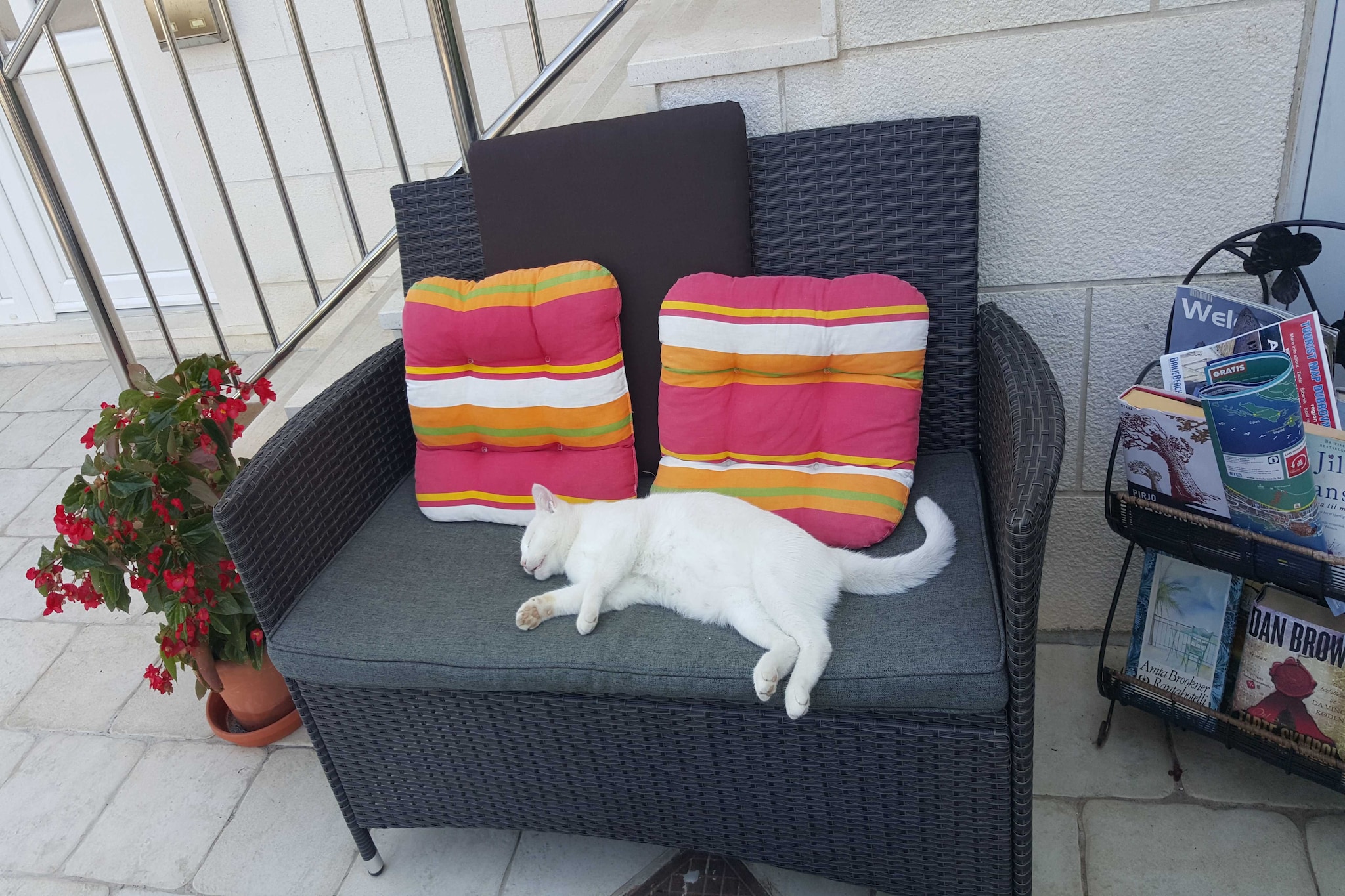 Apartments Pojko offers two self-catering accommodation units situated in Babin Kuk neighborhood, only 3.5 km away from the historic Old Town and a 1.3 km from the beautiful beaches Dubrovnik has to offer. 
Baby cot is available upon request and it cost 5 euros per day.
Pets are allowed upon request for 15 euros per day.
Free private parking is available on site upon request; while garaged parking is available on request for 9 euros per day.

This standard one bedroom apartment offers free WiFi, air-conditioning, living room with flat-screen SAT TV, well equipped kitchen and a dining area. Bathroom includes shower cabin and a hair dryer. It will also provide you with a lovely furnished terrace. 

Baby cot (upon request-5 euros per day), laundry and ironing facilities, daily cleaning service and luggage storage after check out are at guests' disposal for an additional charge.
Pets are allowed with an additional charge of 15 euros per day.

Apartments Pojko are located 1,3 km from the nearest beach. Many restaurants, cafes, parks and a beautiful seaside promenade as well as bank, ATMs, grocery store and bakery can be found in 500 meters range. The nearest restaurant is located 100 m away from the property. Dubrovnik’s Old Town is 3.5km away, with a bus stop 30 meters from the property.

Dubrovnik Bus Station and Ferry Port, connecting the mainland with various Dalmatian islands, are 2.7 km from the apartment  while Dubrovnik Airport is 23 km away.