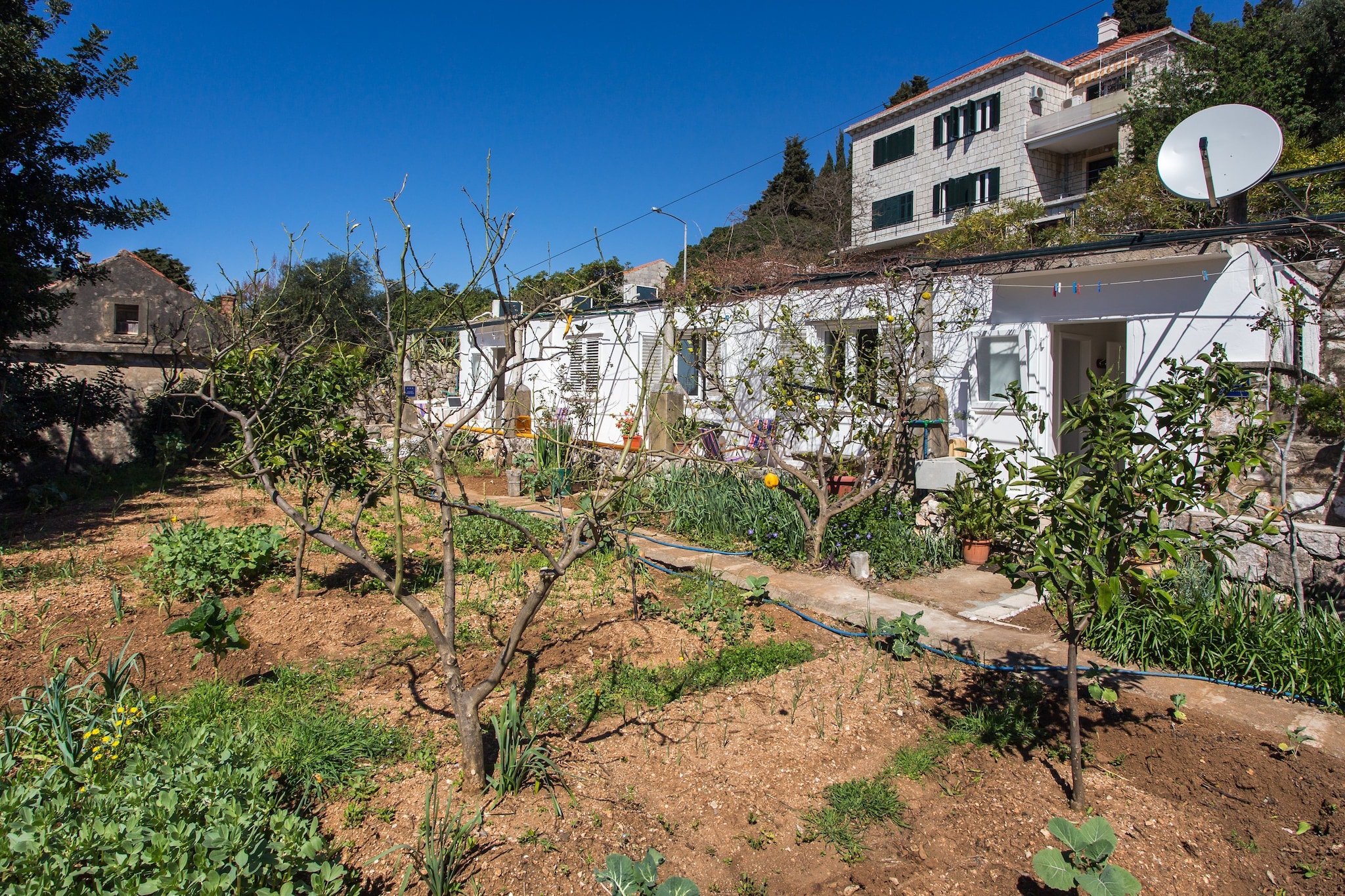 Apartments Ljubimir - One-Bedroom Apartment with Shared Terrace - Bambo-Buitenlucht