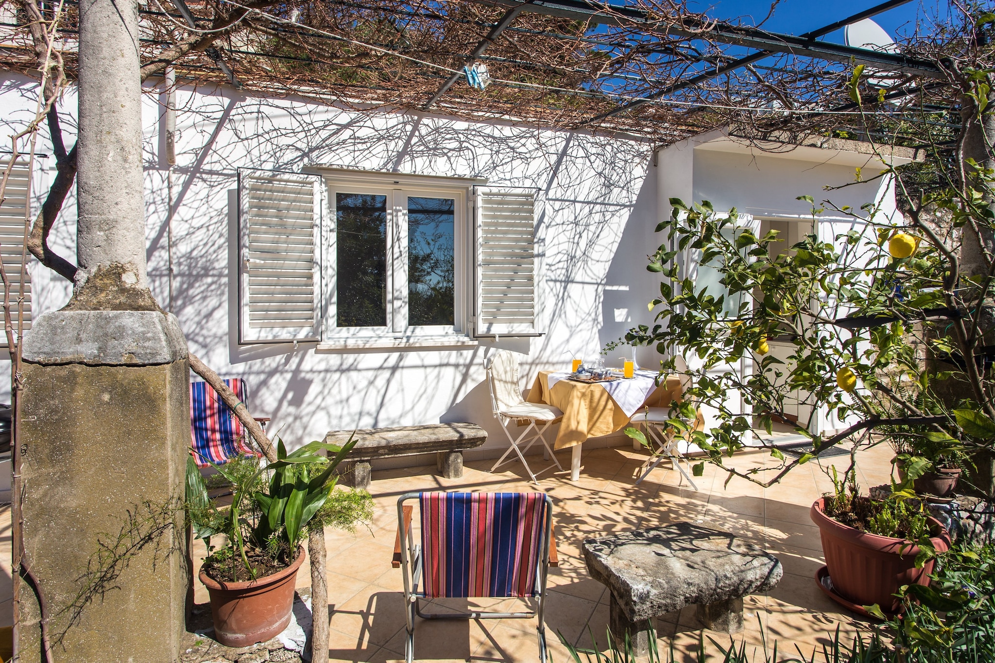 Apartments Ljubimir - Comfort One-Bedroom Apartment with Shared Terrace - Nono-Terras