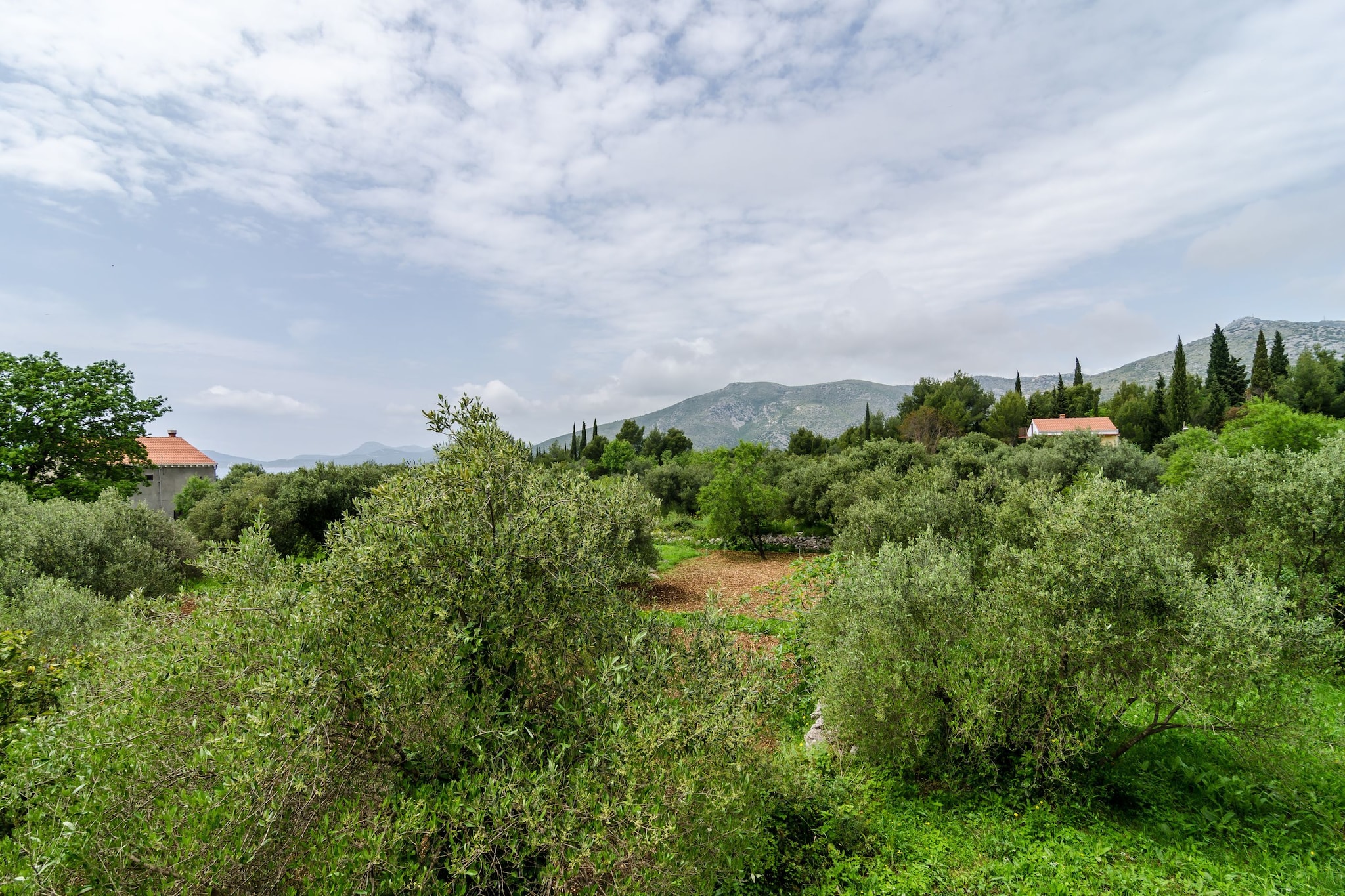 Guest House Kola - Double Room with Balcony-Uitzicht