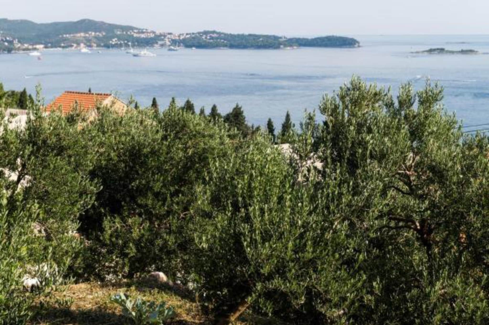 Apartments Olive - Comfort One Bedroom Apartment with Terrace and Sea View - Popolica 50-Gebiete Sommer 5 km