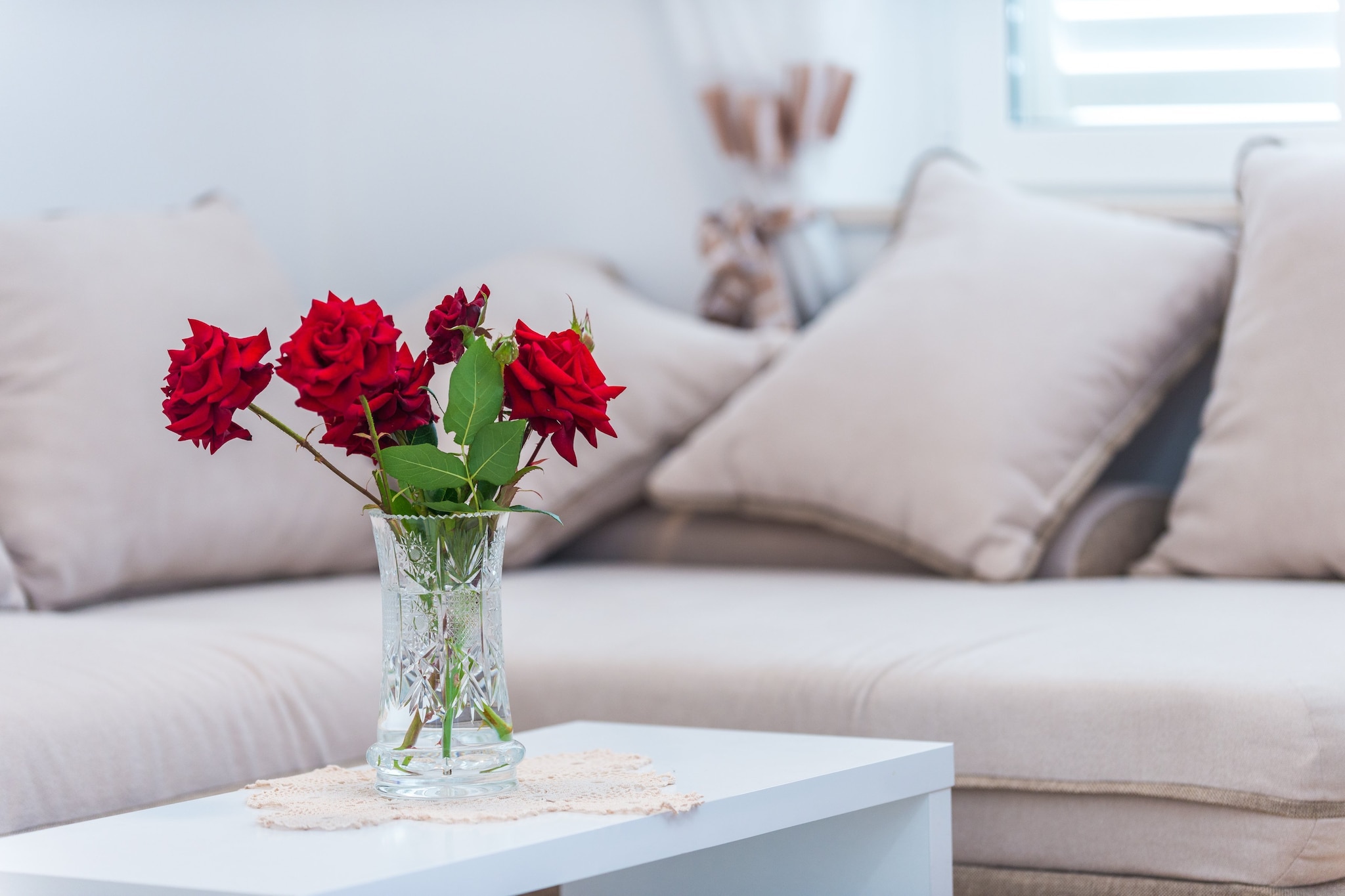 Apartments Lucija are self catering accommodation located in Dubrovnik. Property features three accommodation units.

Luggage storage is available before check in and after check out.

This two bedroom apartment with furnished balcony with sea view and terrace features free wi-fi, air conditioning and TV. The bedrooms come with double beds, the living room comes with a sofa for the fifth person, dining area and mini kitchen, while the private bathroom has a shower. The apartment has one additional toilet.
Washing machine, ironing facilities and a hair-dryer are at guests' disposal.

Guests can enjoy their staying on balcony with outdoor furniture. 

This apartment can comfortably accommodate up to 4 people.

Apartments Lucija are situated on Babin Kuk Peninsula, only 10 minutes walk from the nearest beach and with many more in the surrounding area, and 10 minutes ride to the Old Town. Many shops, restaurants, cafes, parks and a beautiful sea side promenade are a 5-minute walk away. Bank and ATMs, grocery store and bakery are in 700 meters range. This location offers a lot of opportunities to relax, since guests can reach various lovely places in couple of minutes walk.

Dubrovnik Bus Station and Ferry Port, connecting the mainland with various Dalmatian islands, are 10 minutes ride from the apartment, while Dubrovnik Airport is 22 km away.