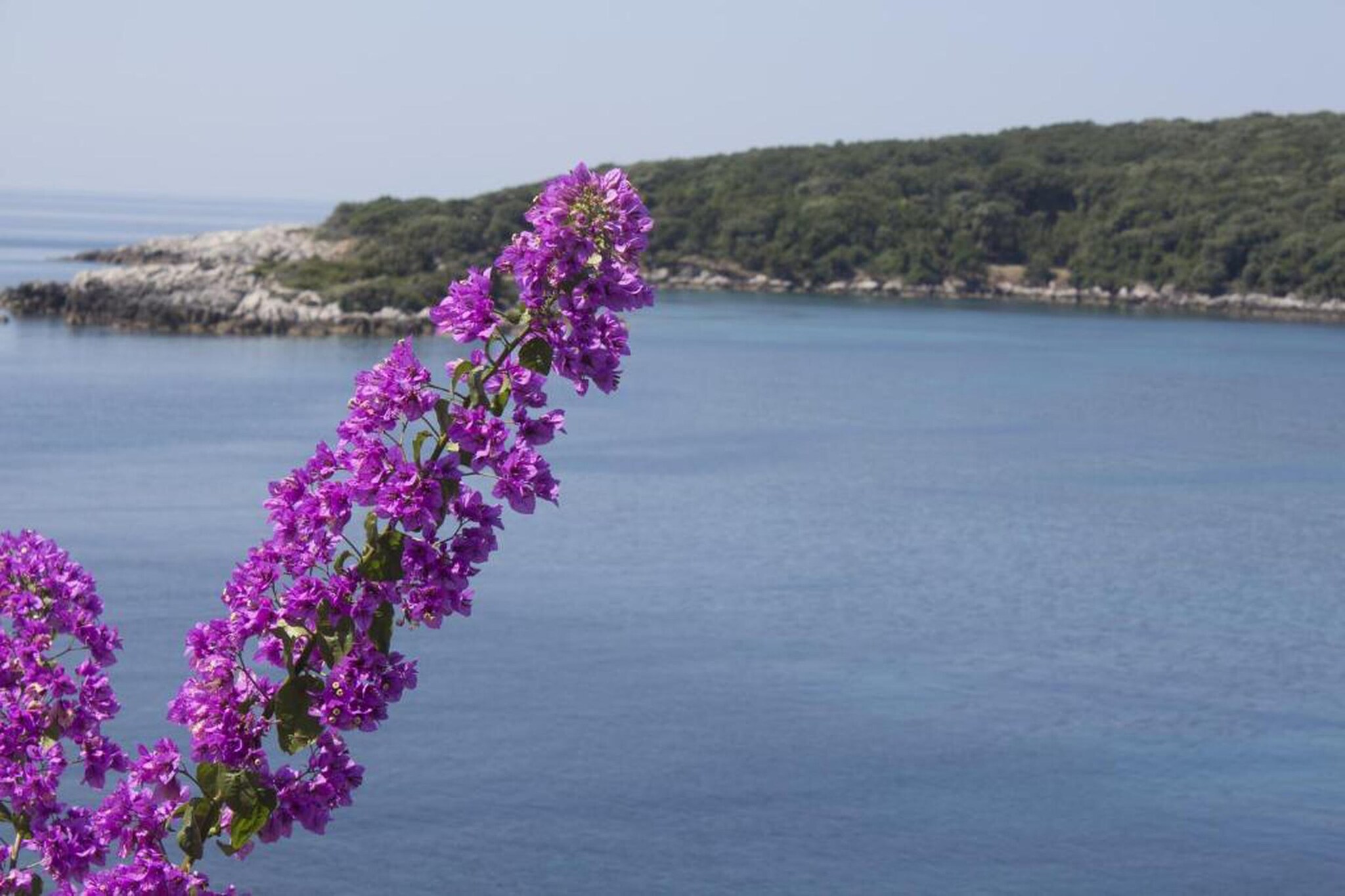 Guest House Rooms Rose - Romantic Double Room with Balcony and Sea View (No.1)-Gebieden zomer 20km