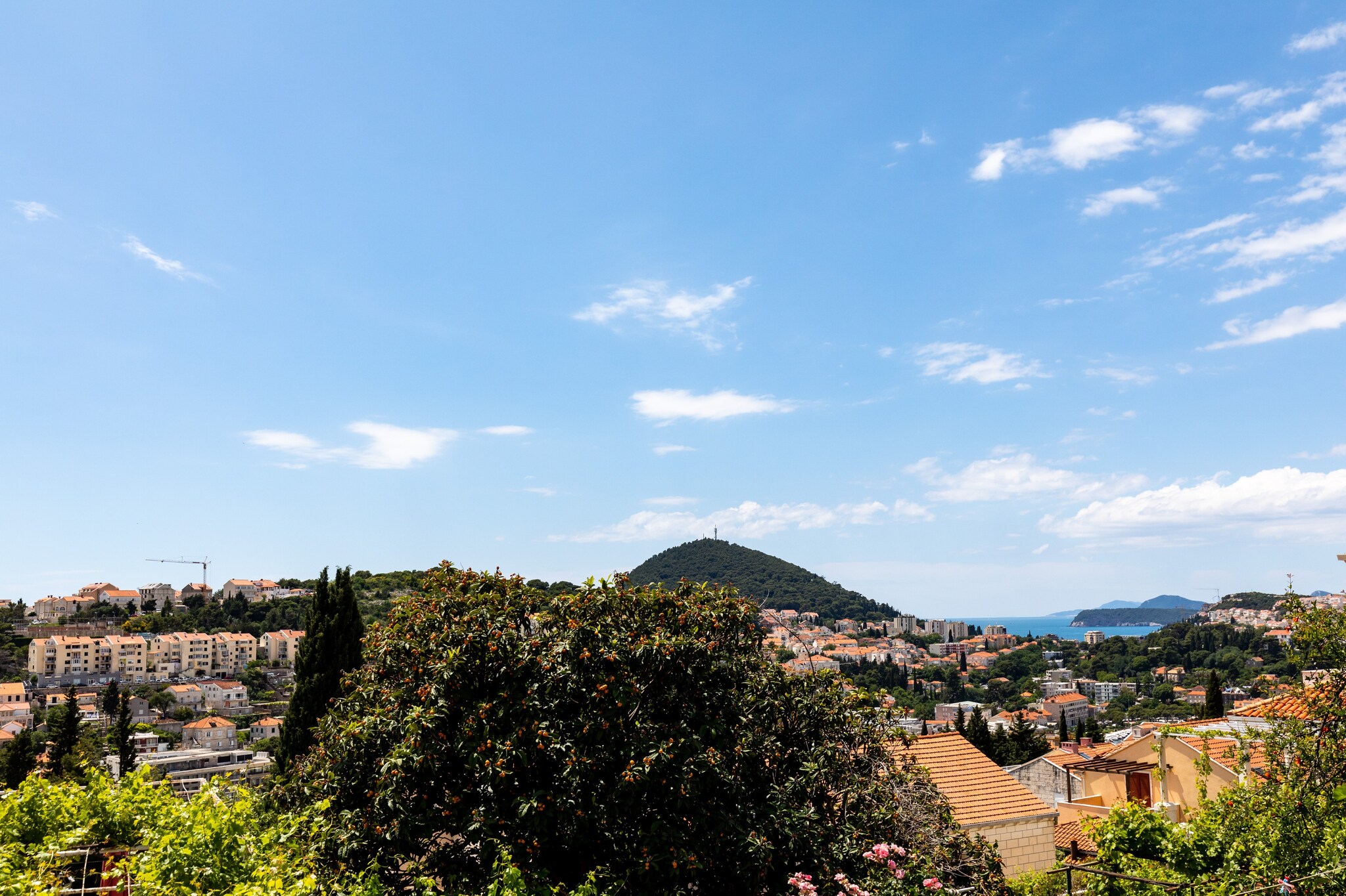 Dalmatia