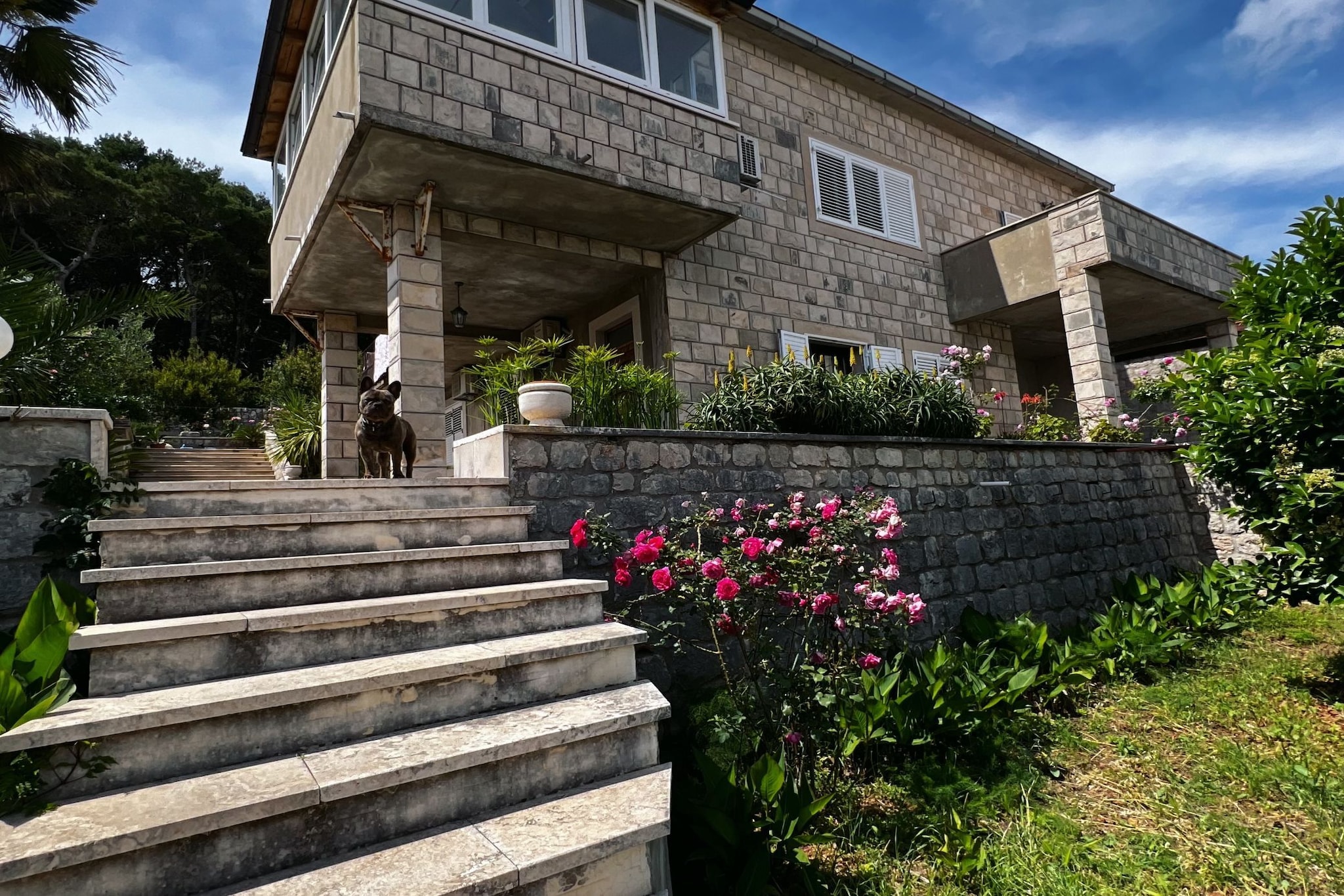 Apartments & Rooms Tapera- Comfort Double Room with Terrace and Partial Sea View 2-Outdoor
