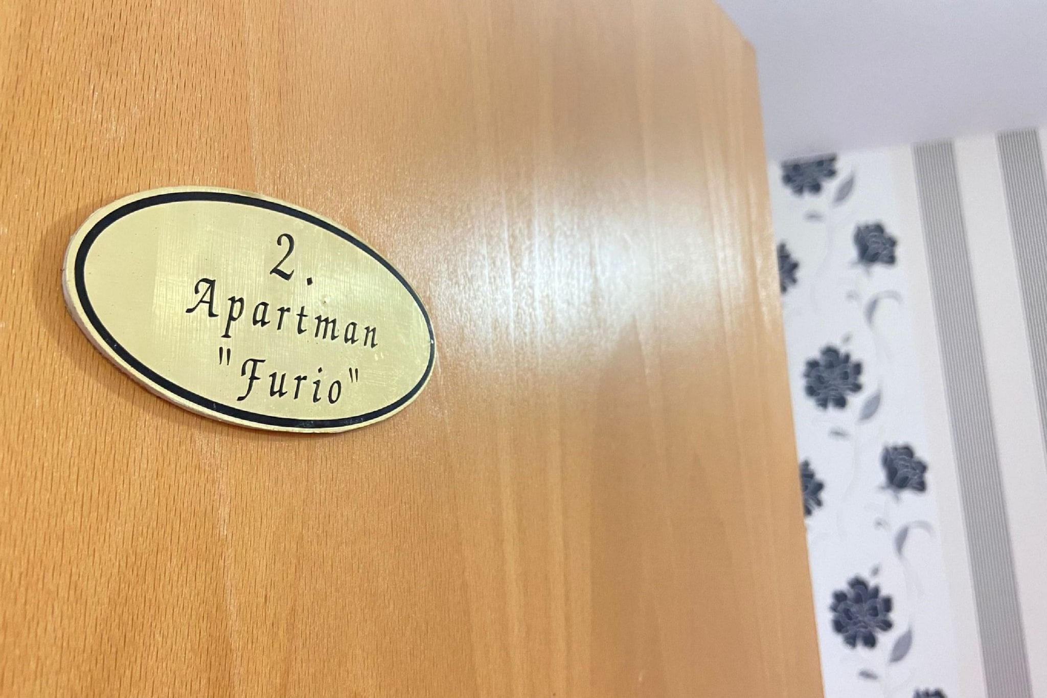 Apartments Tiho  & Jelena - Studio Apartment with Balcony and Sea View (Fureal)-Binnen