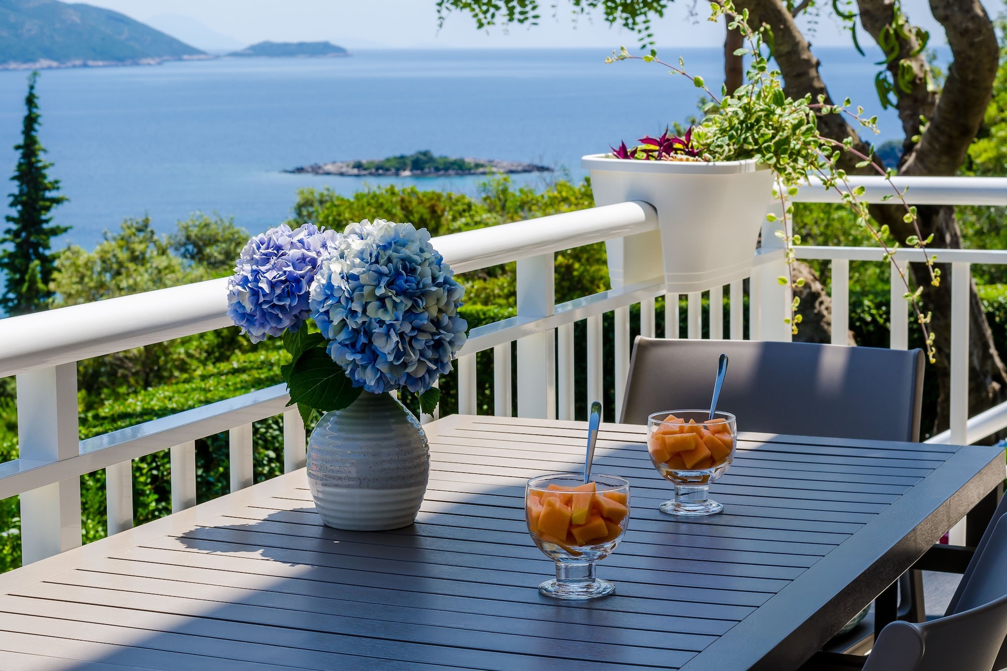 Apartments Sara (Molunat) - One Bedroom Apartment with Terrace and Sea View-Vue