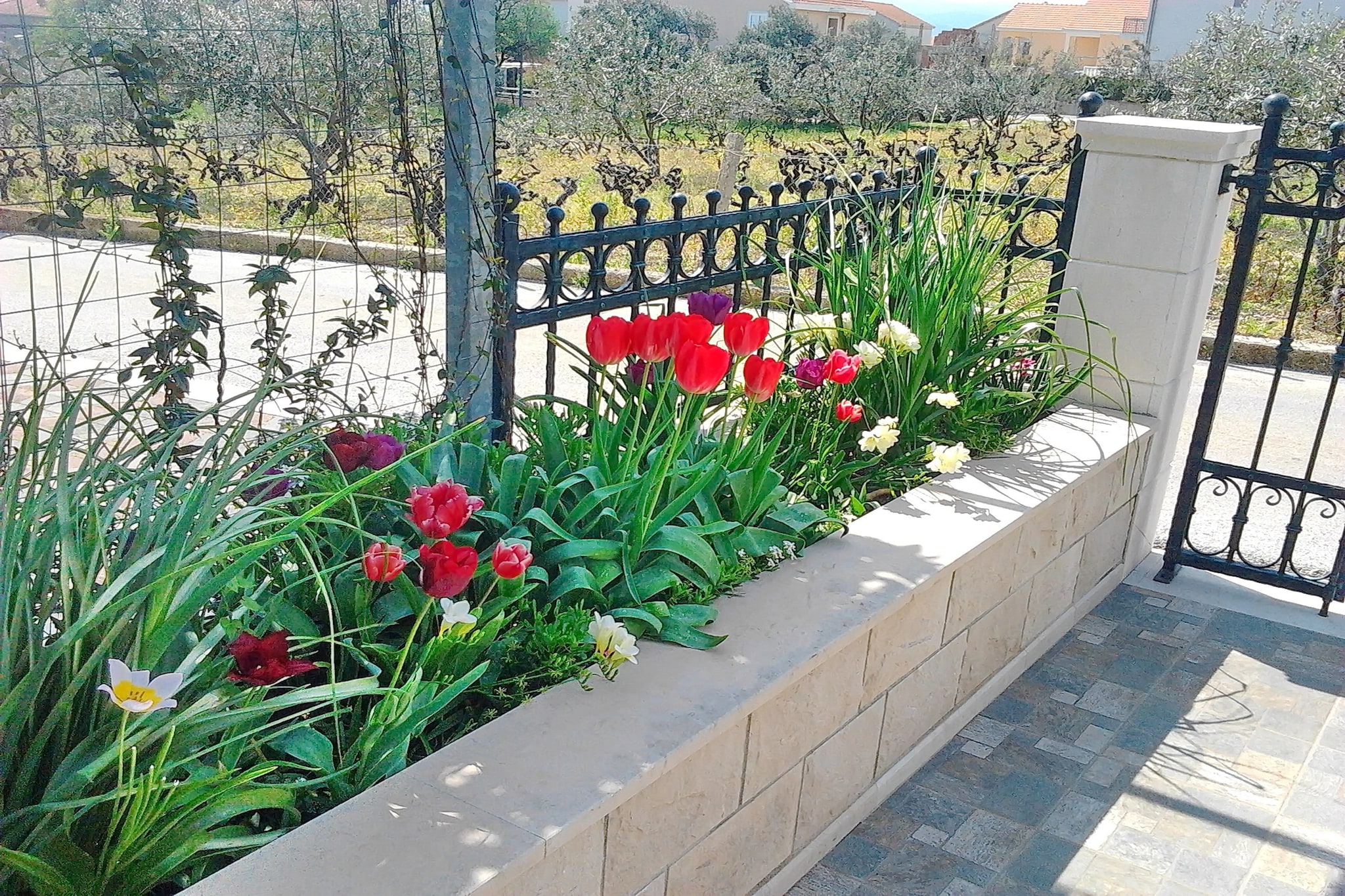Apartments Sunny Side Orebić-One Bedroom Apartment with Terrace-Terras