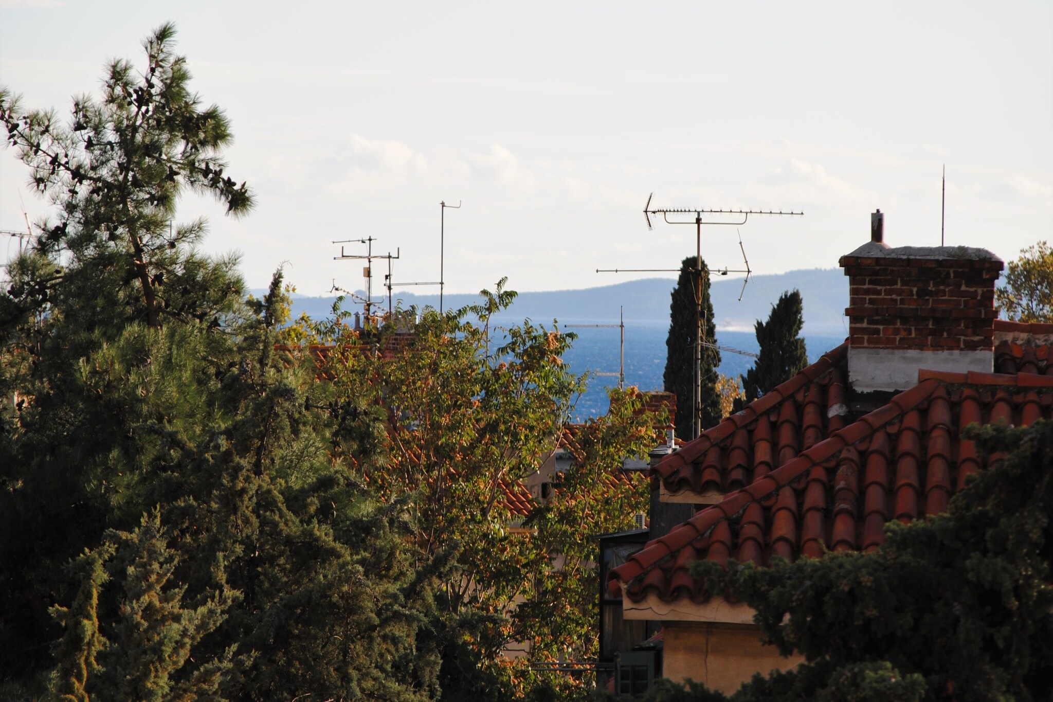 Apartment Antea - One Bedroom Apartment