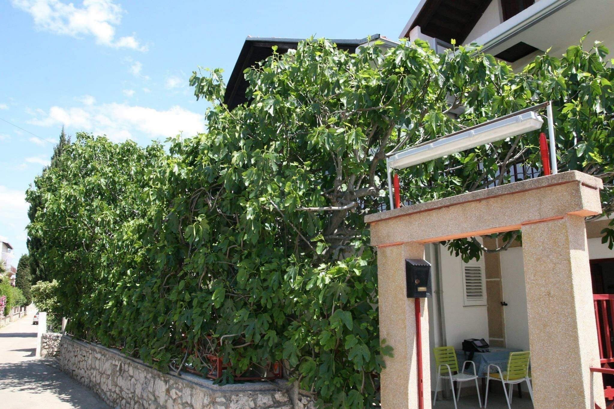 Apartments Villa Tanja - Two Bedroom Apartment with Terrace-Buitenlucht