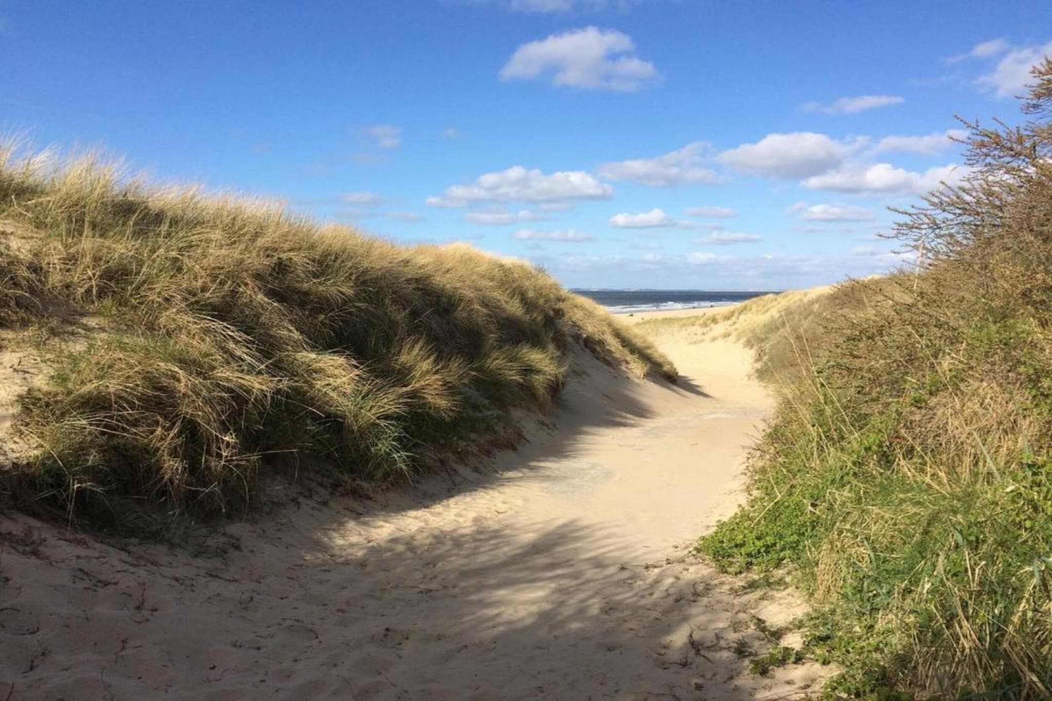 Vakantiepark Hof van Zeeland 2-Areas summer 20km