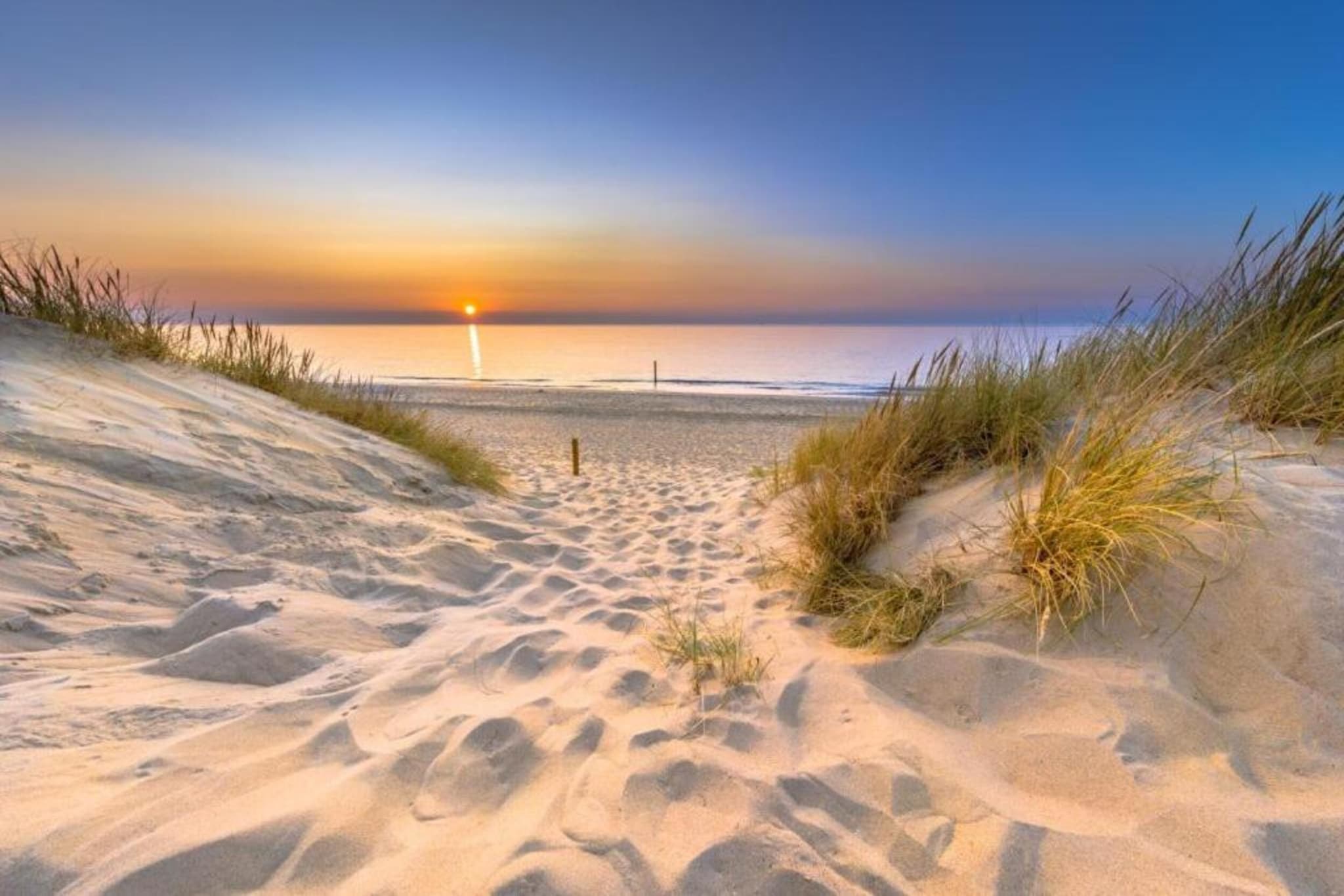 Vakantiepark Hof van Zeeland 2-Areas summer 20km