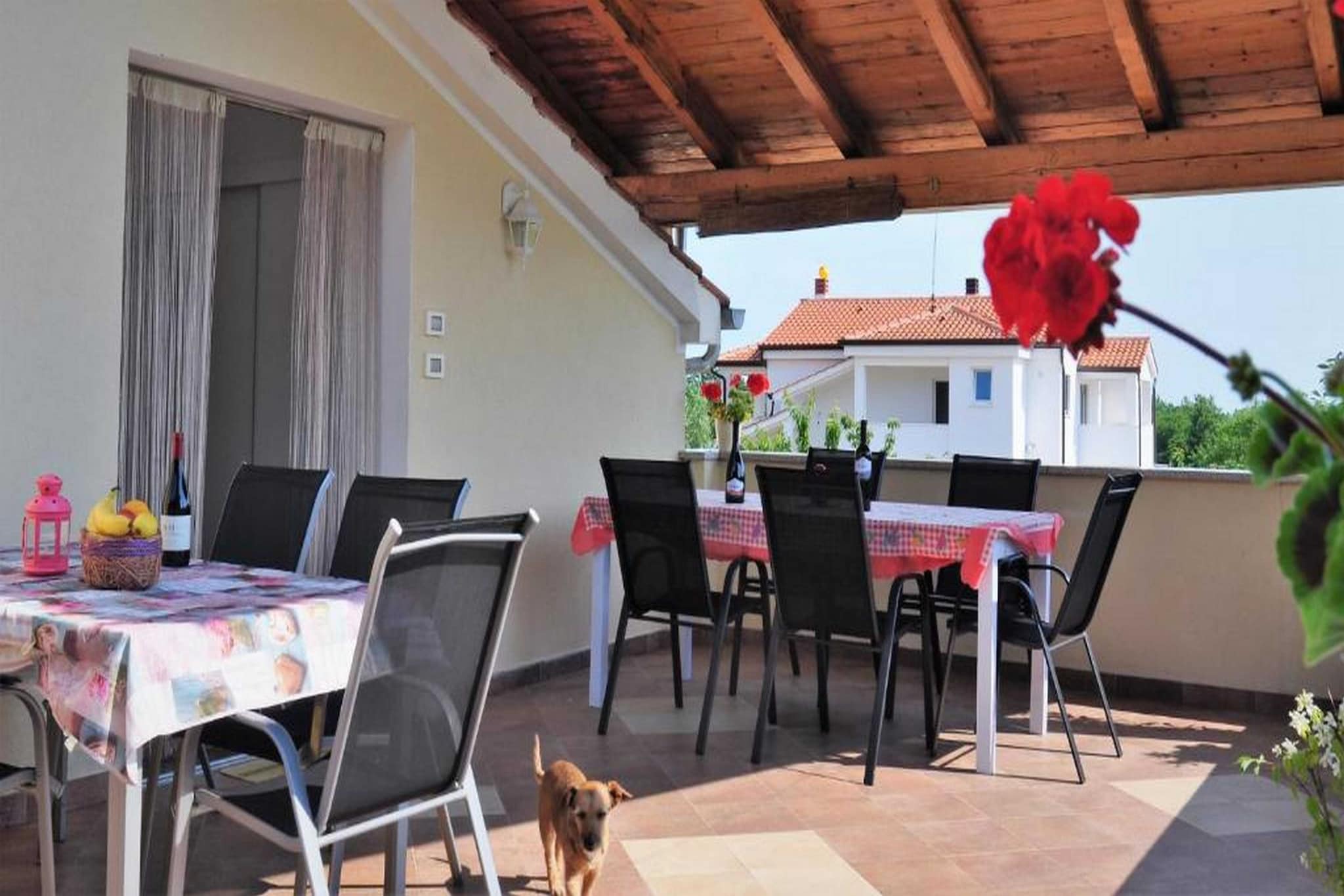 terrace