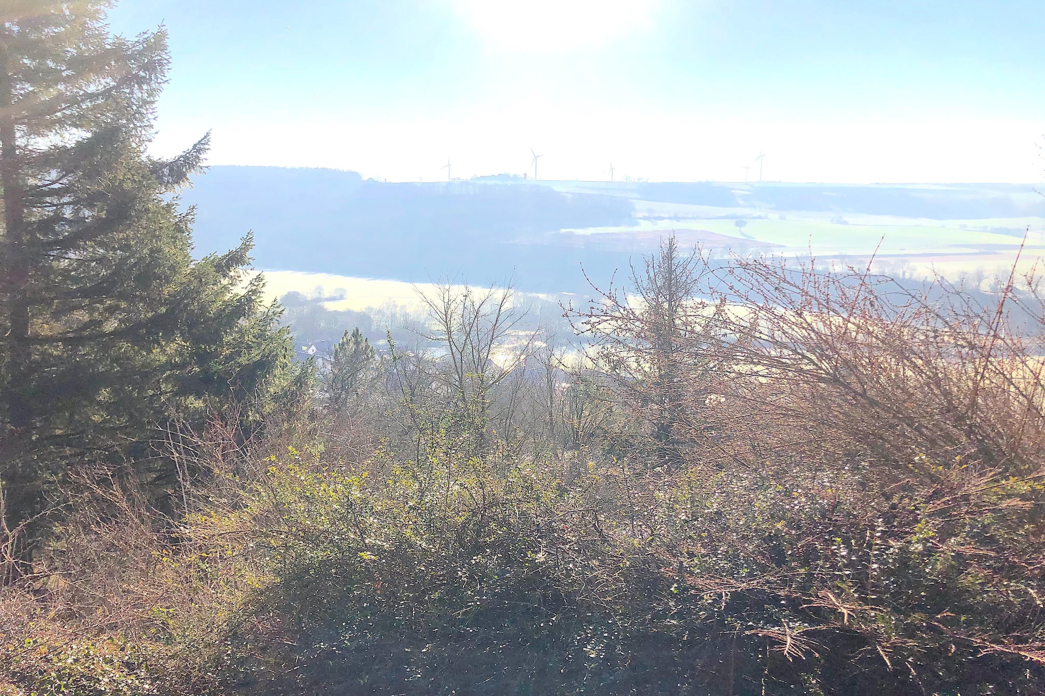 AutarkHome Natur Kompfort Autark-Aussicht Sommer