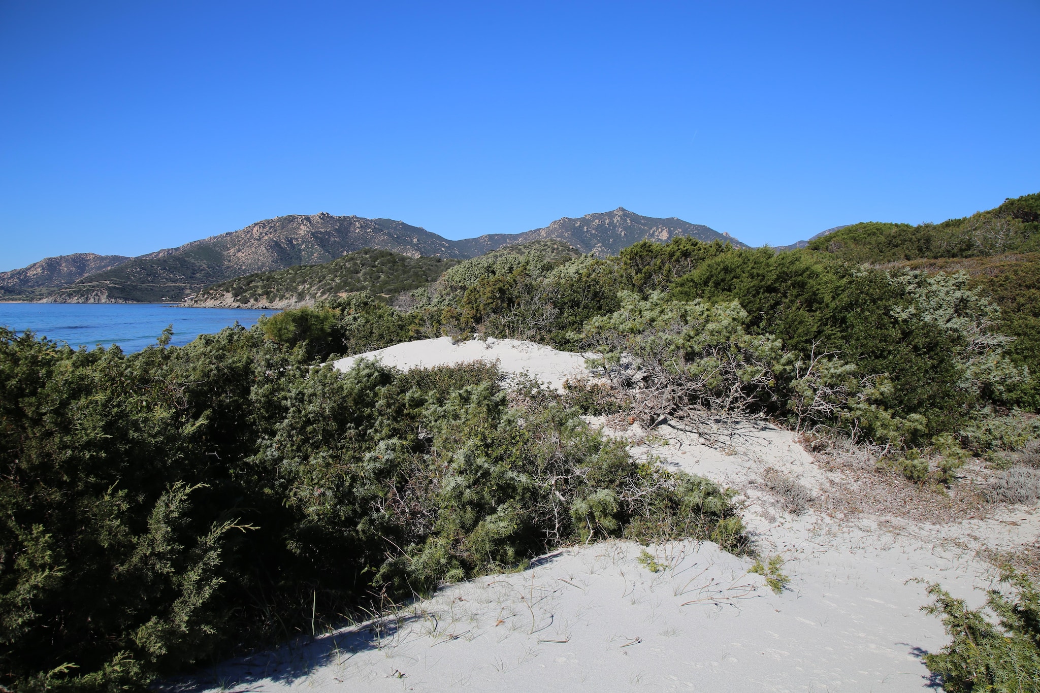 Bilocale x 6-Areas summer 1km