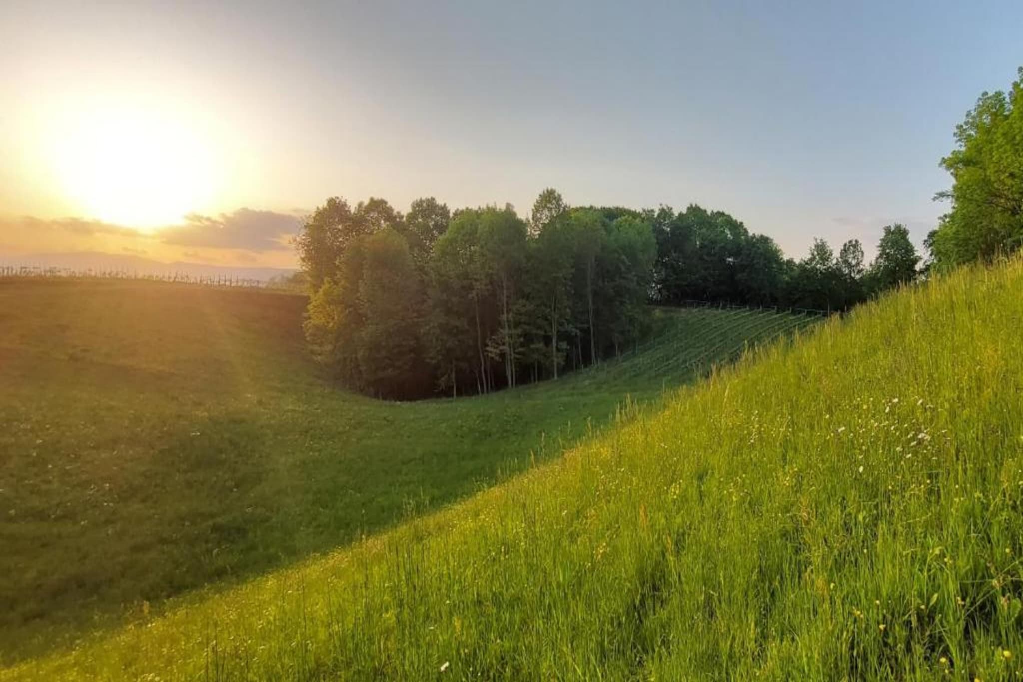 Cason sul Piave-Gebieden zomer 20km