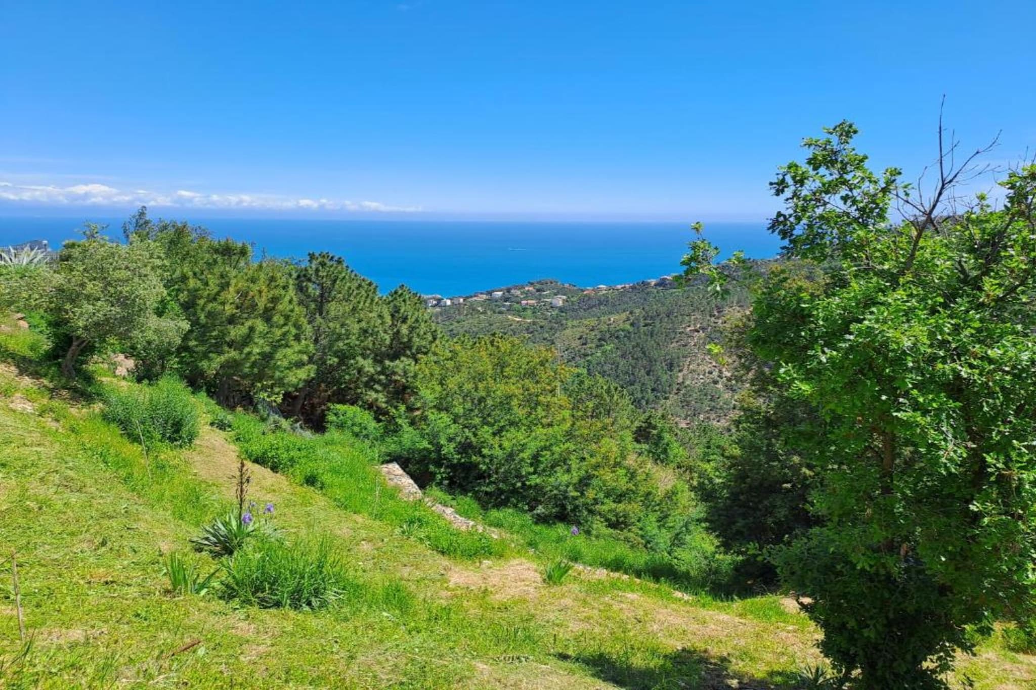 Nidino del Gufo-Gebiete Sommer 20 km