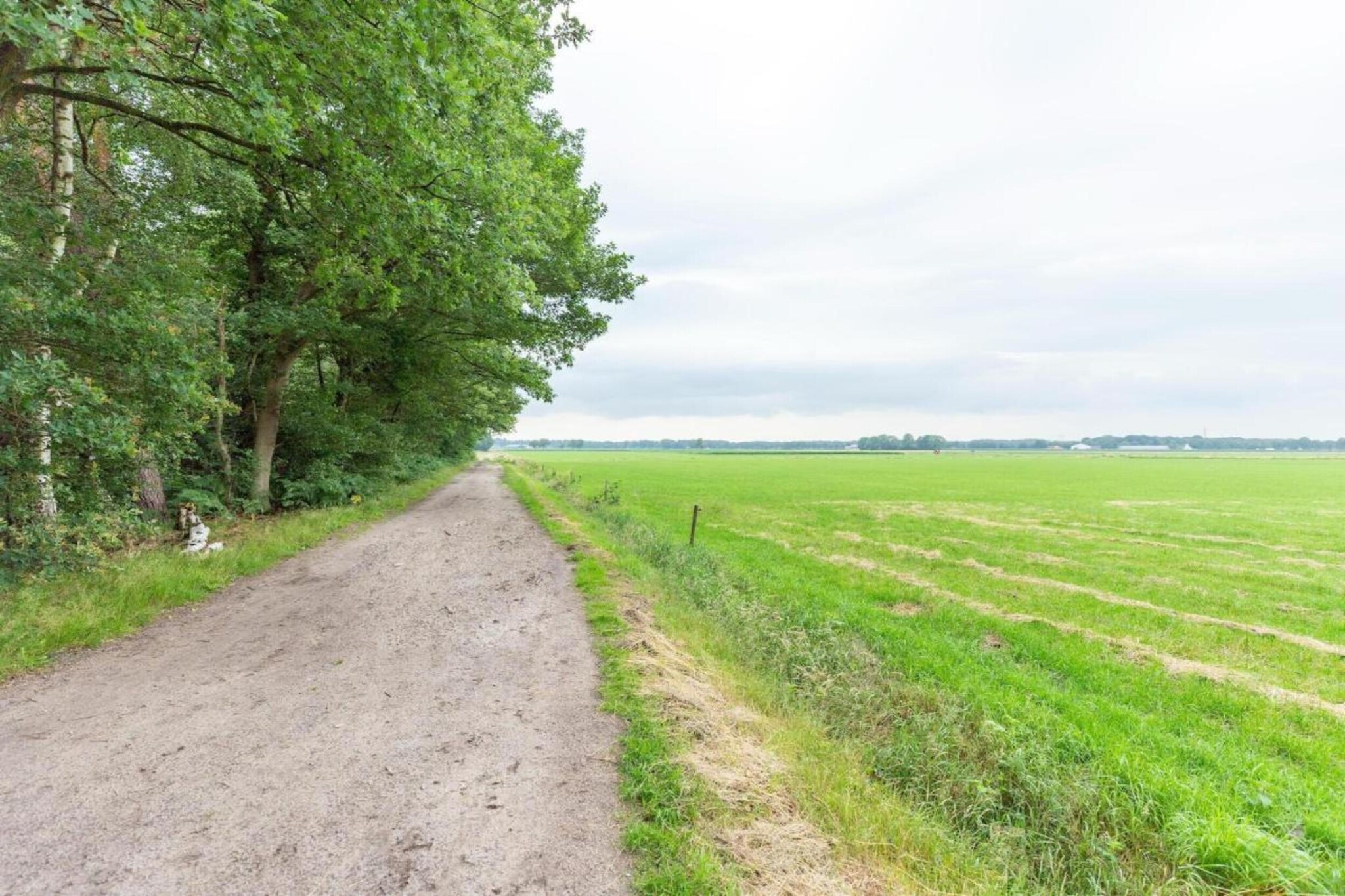 NR 3-Gebieden zomer 20km