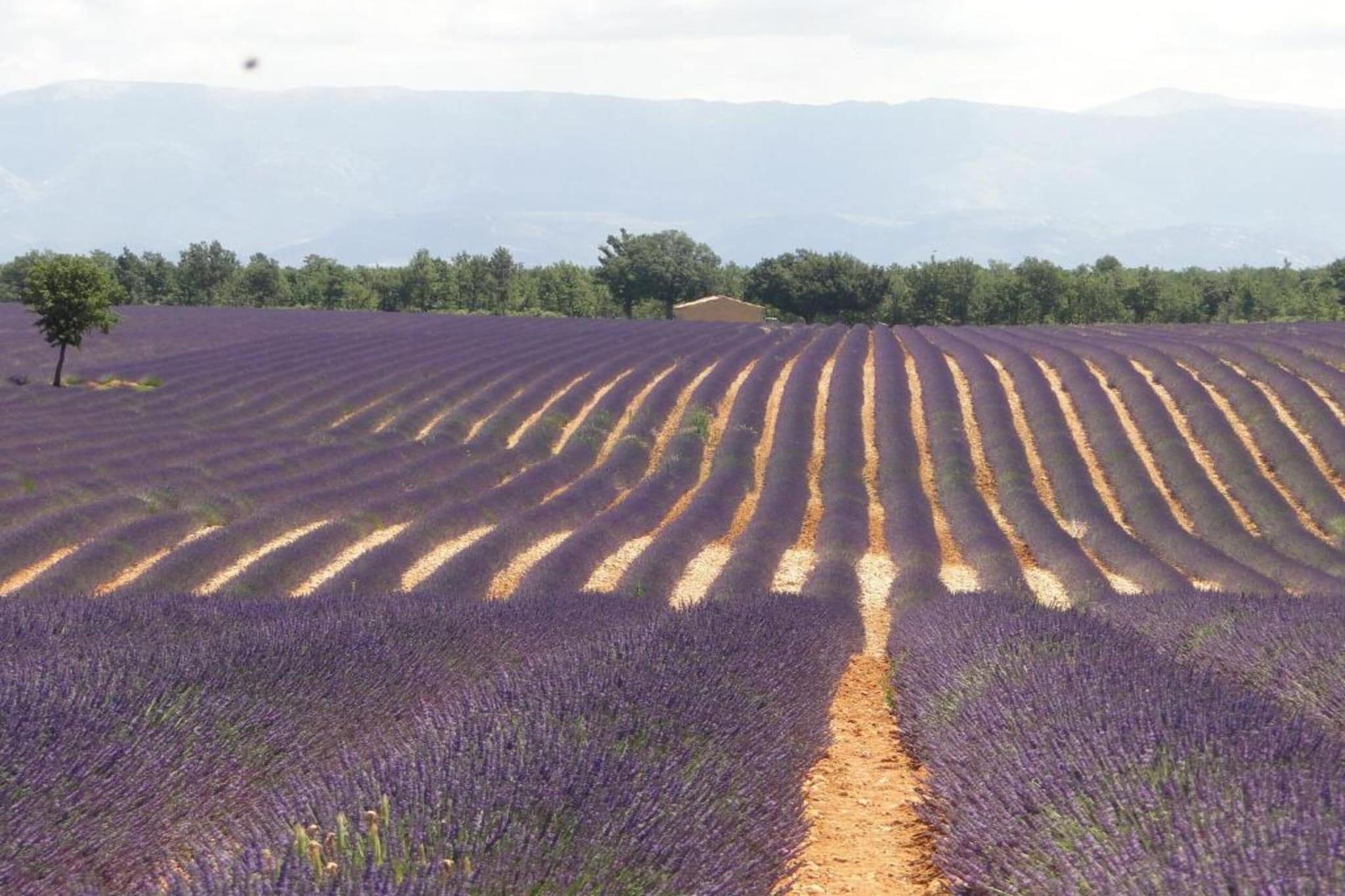 Domaine Anoutous Perry-Gebieden zomer 20km