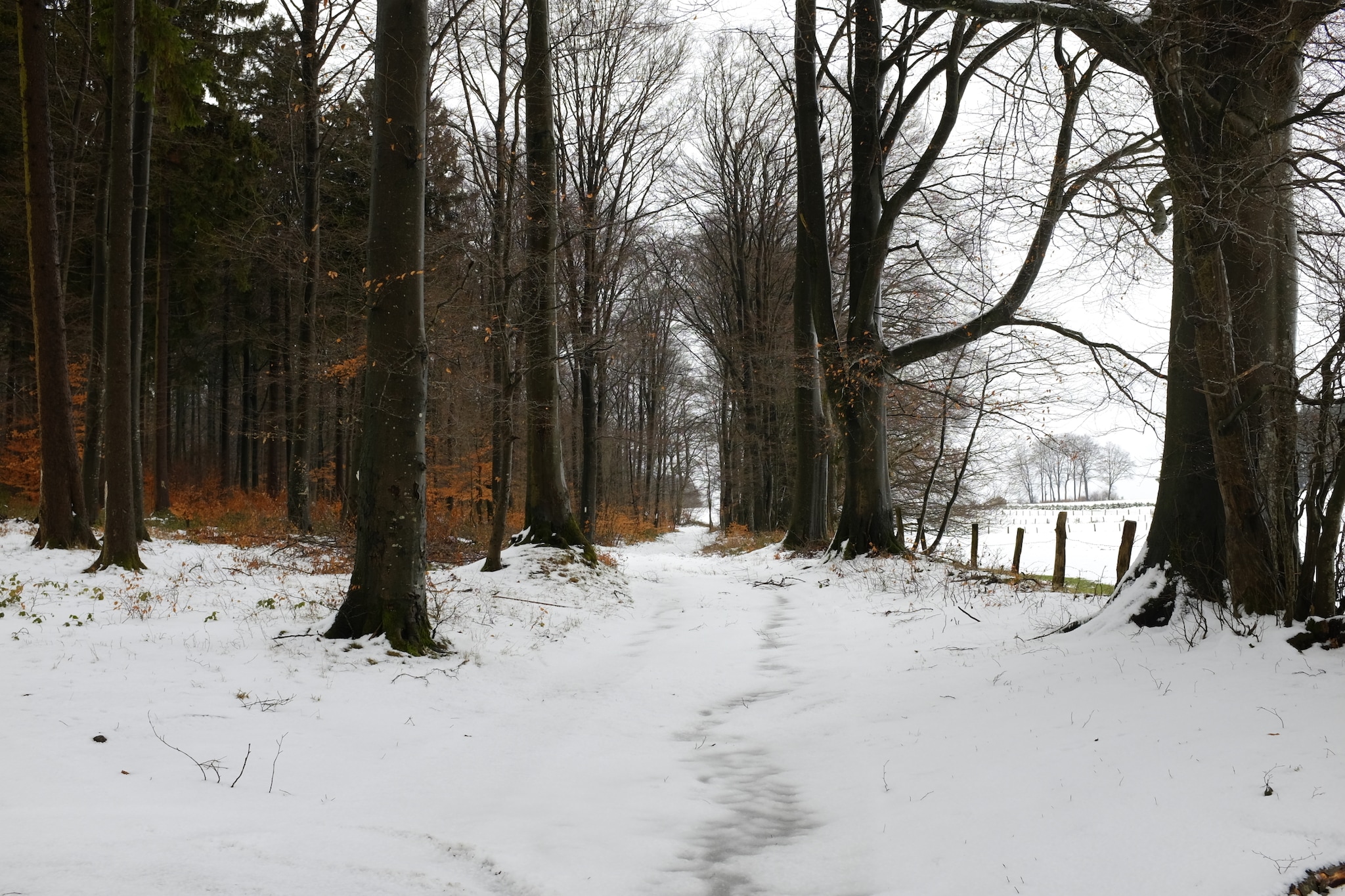 Charming home with sauna