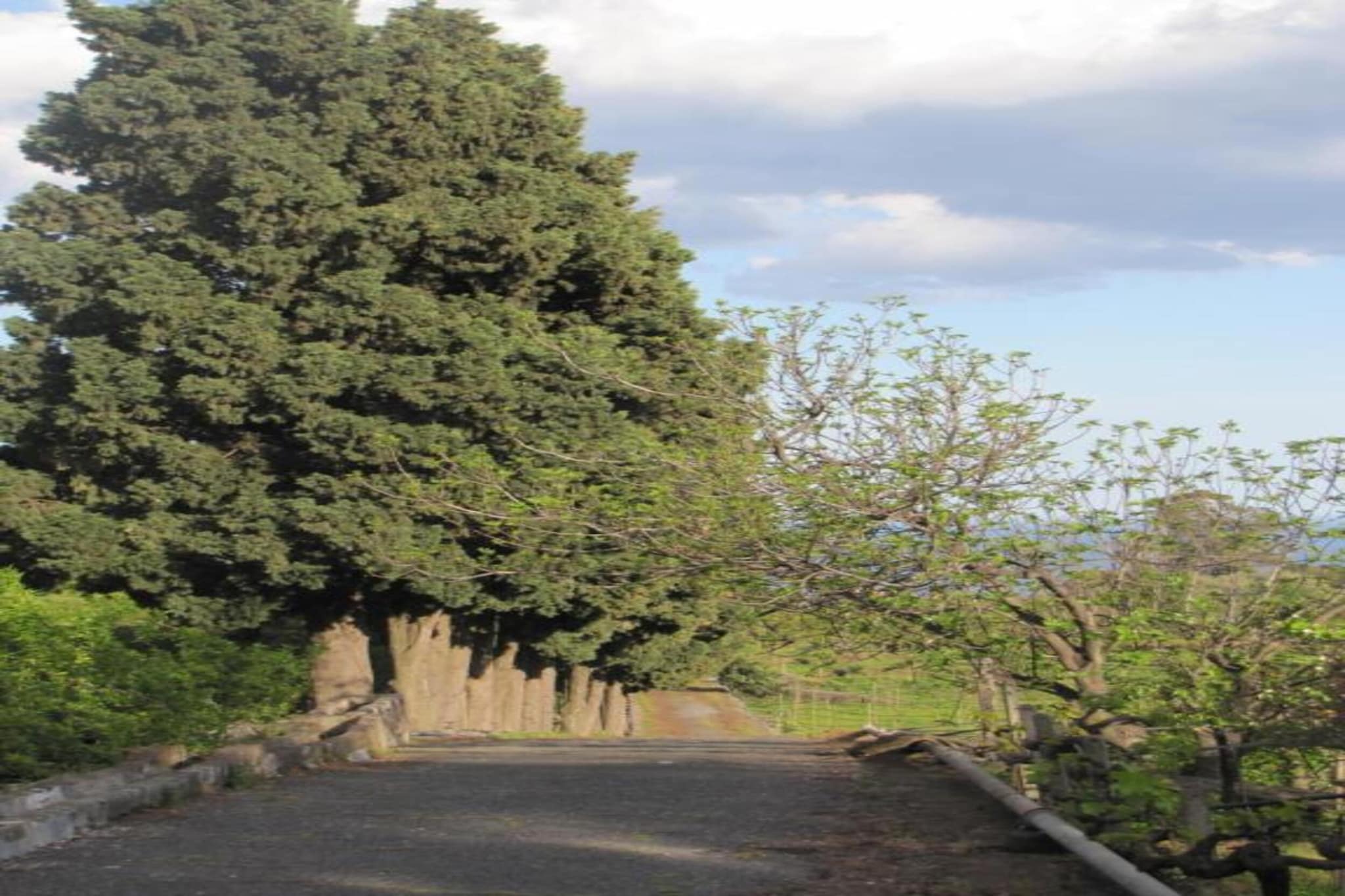 Suite vista Etna-Areas summer 20km