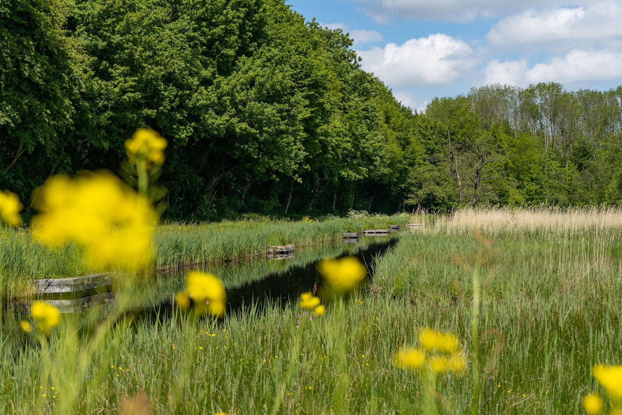 Resort Het Amsterdamse Bos 9-Gebieden zomer 5km