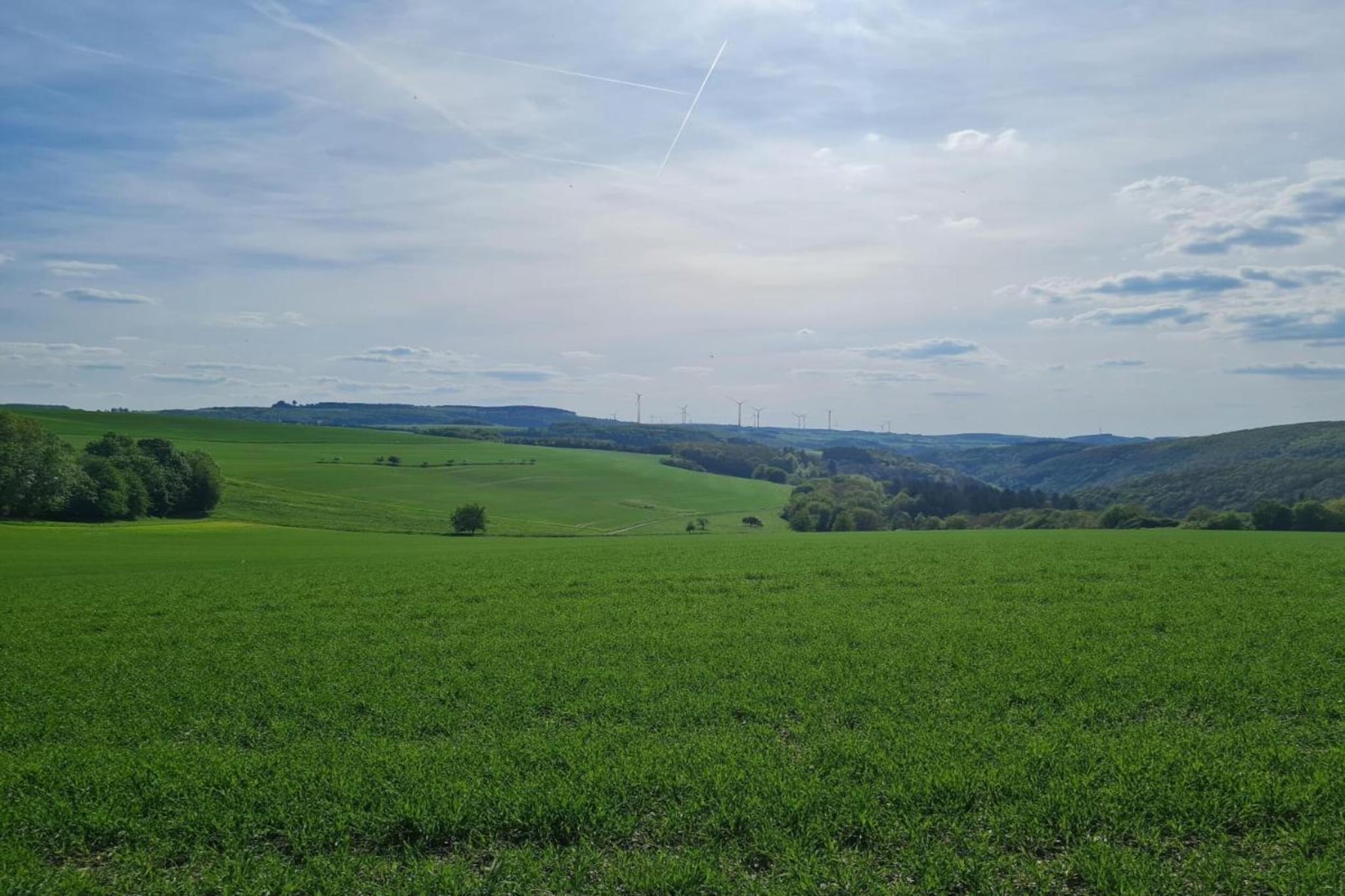 FEWO Eifelruhe-Gebiete Sommer 20 km