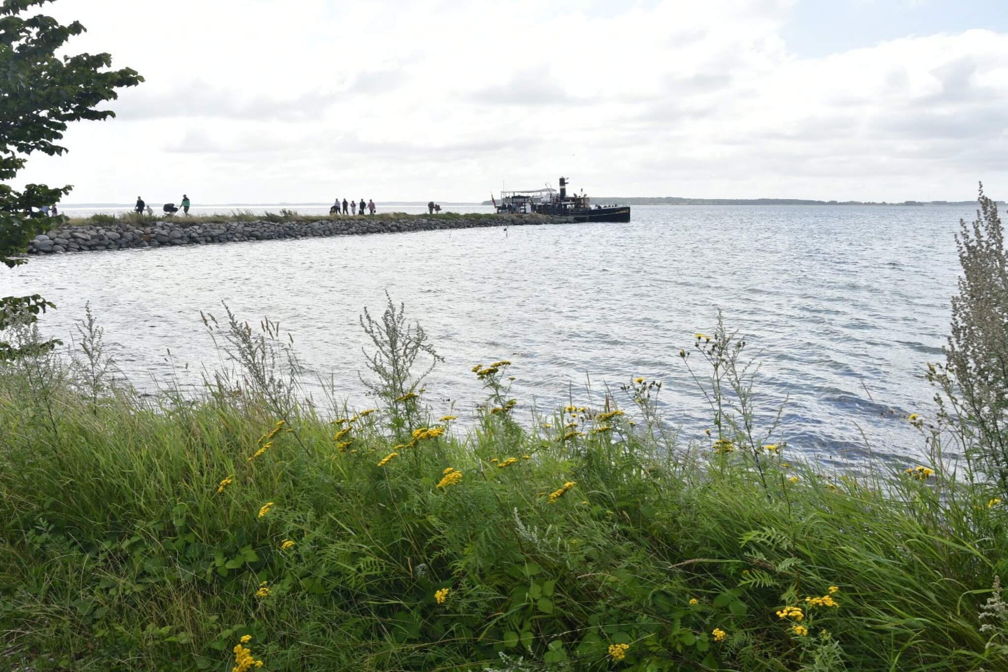 Water View
