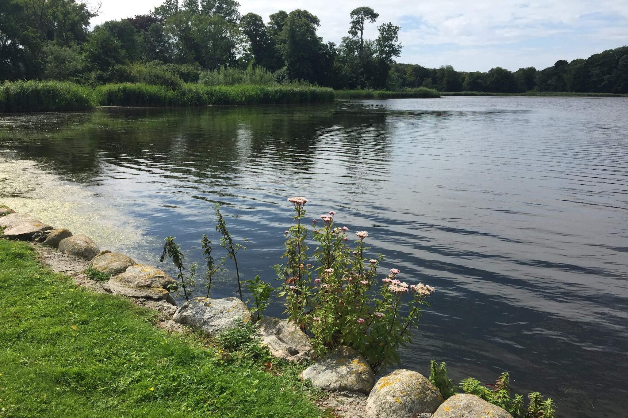Water View