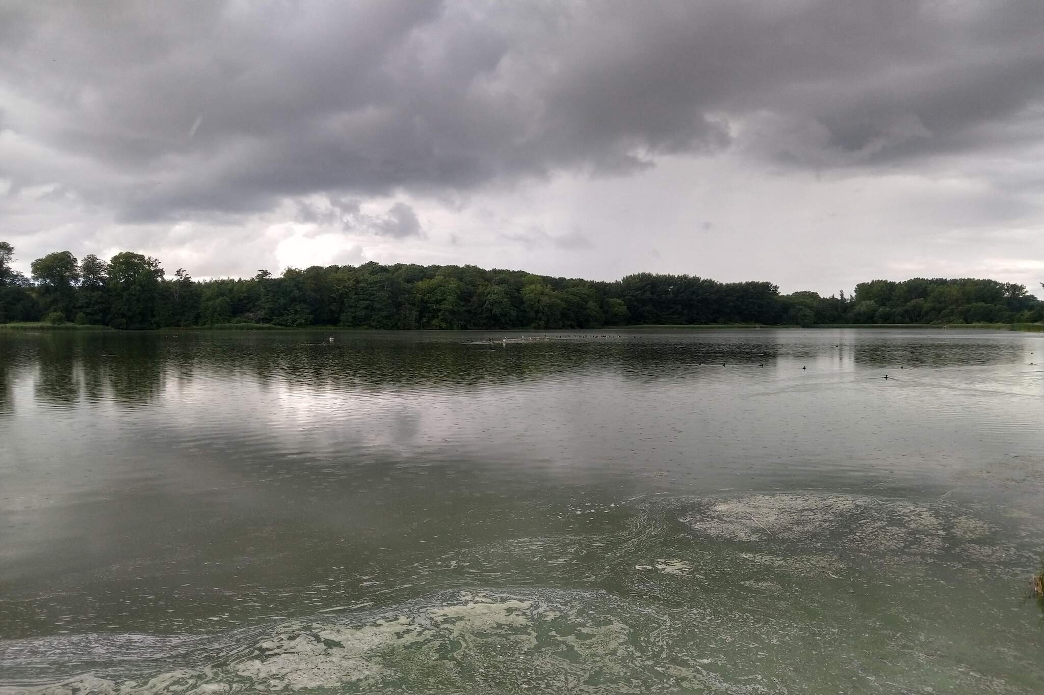 Water View