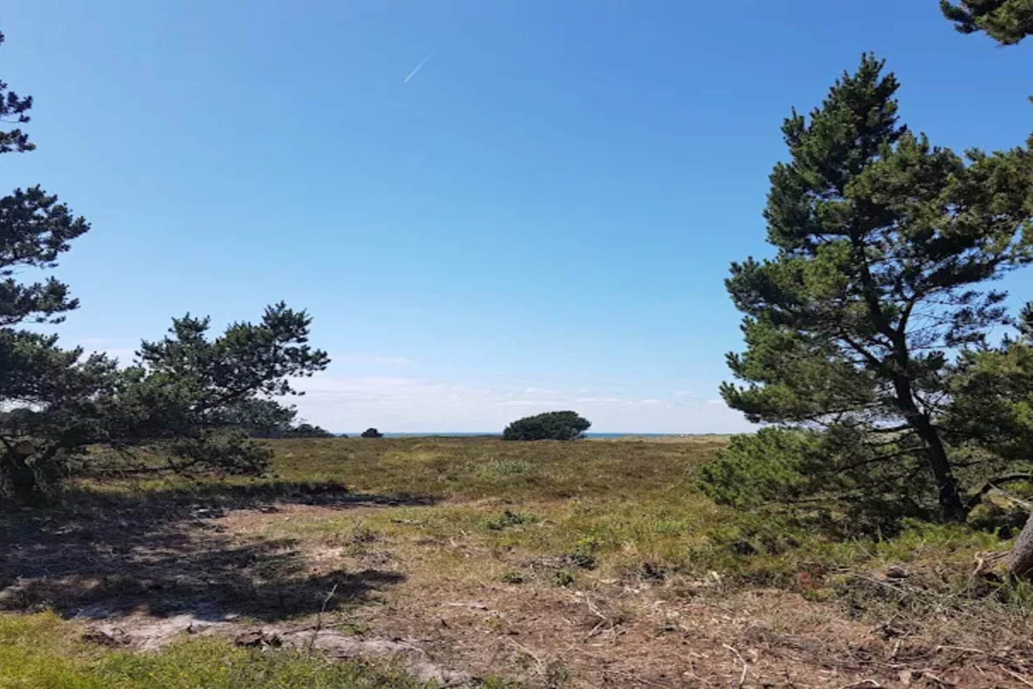 Maison de vacances pour 6 a Læsø-By Traum